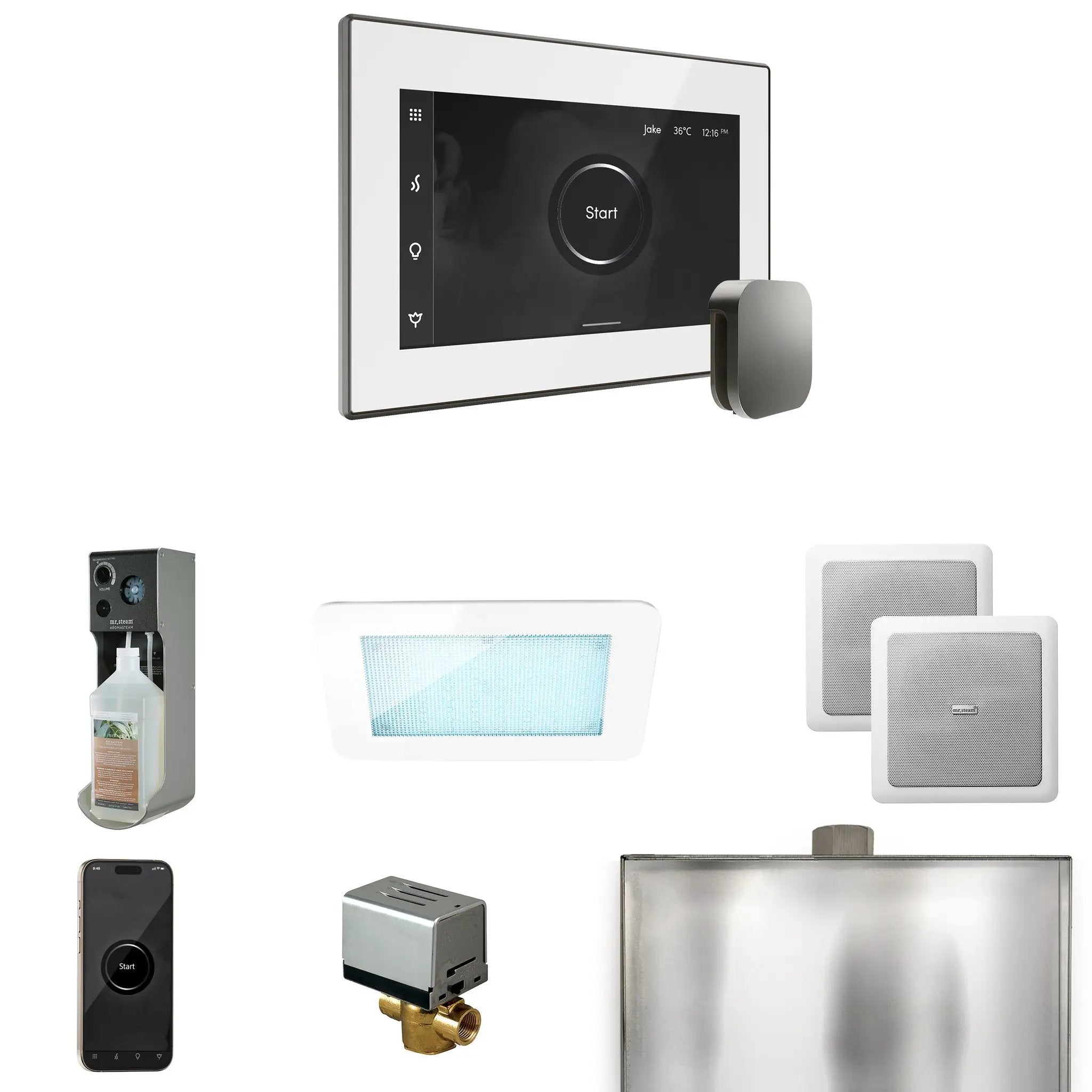 Mr Steam XDream Steam Shower Control Package with iSteamX Control and Steamhead by Mr Steam