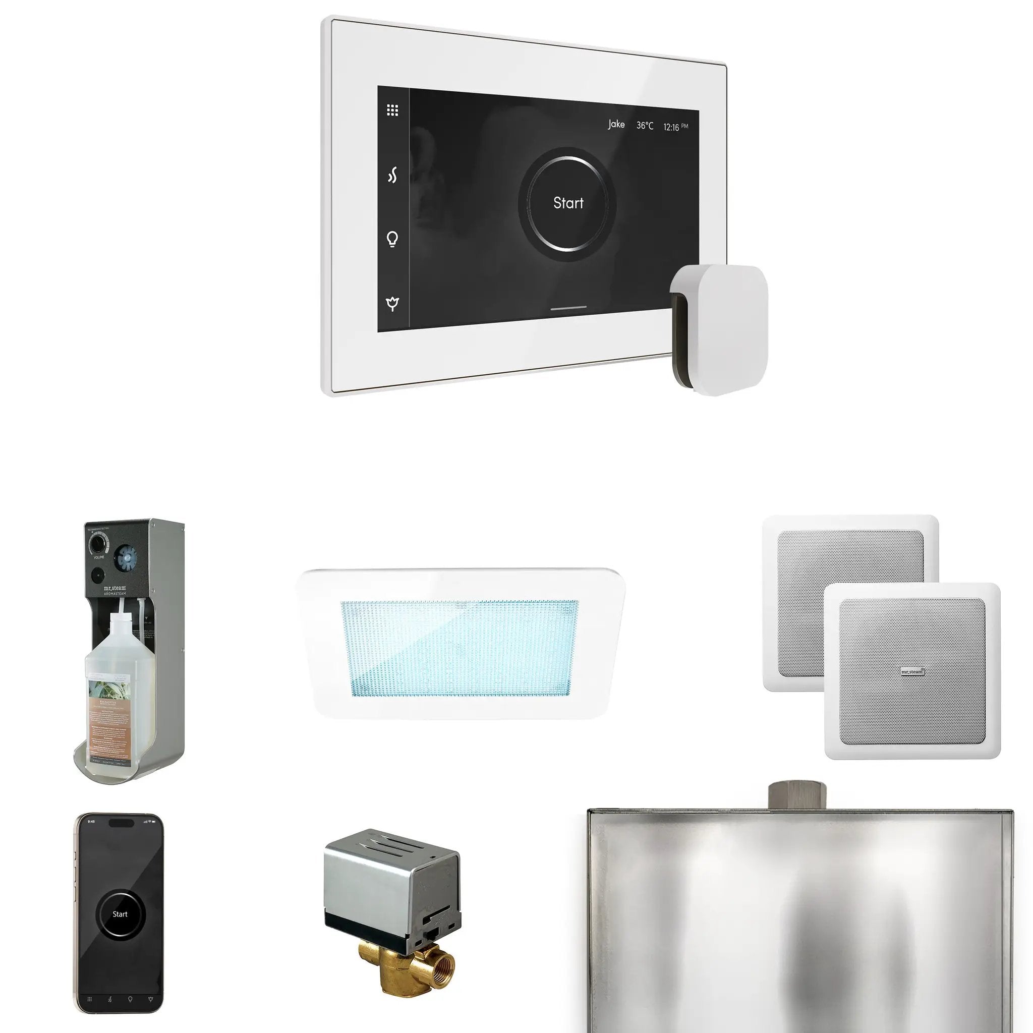 Mr Steam XDream Steam Shower Control Package with iSteamX Control and Steamhead by Mr Steam