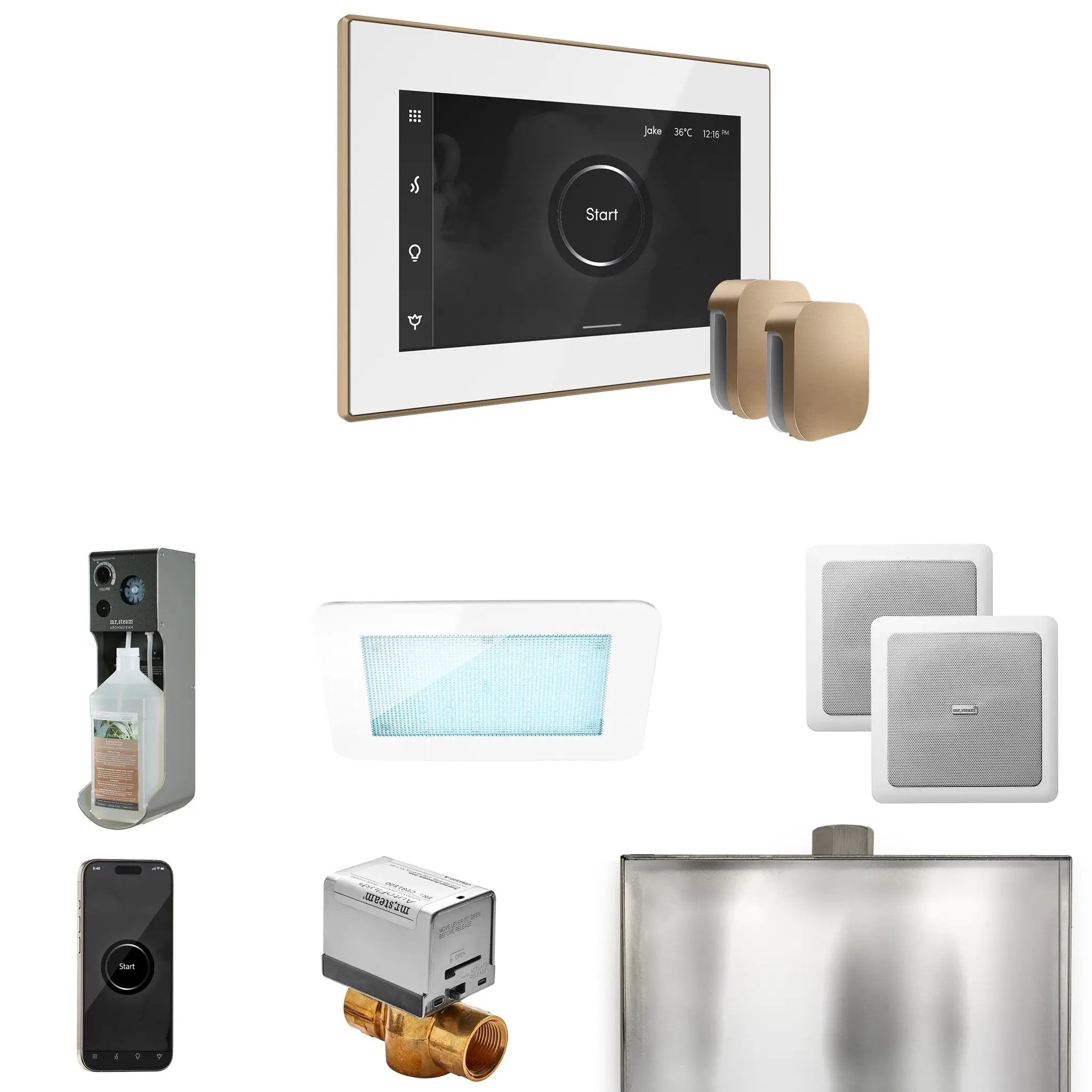 Mr Steam XDream Max Steam Shower Control Package with iSteamX Control and Steamhead by Mr Steam