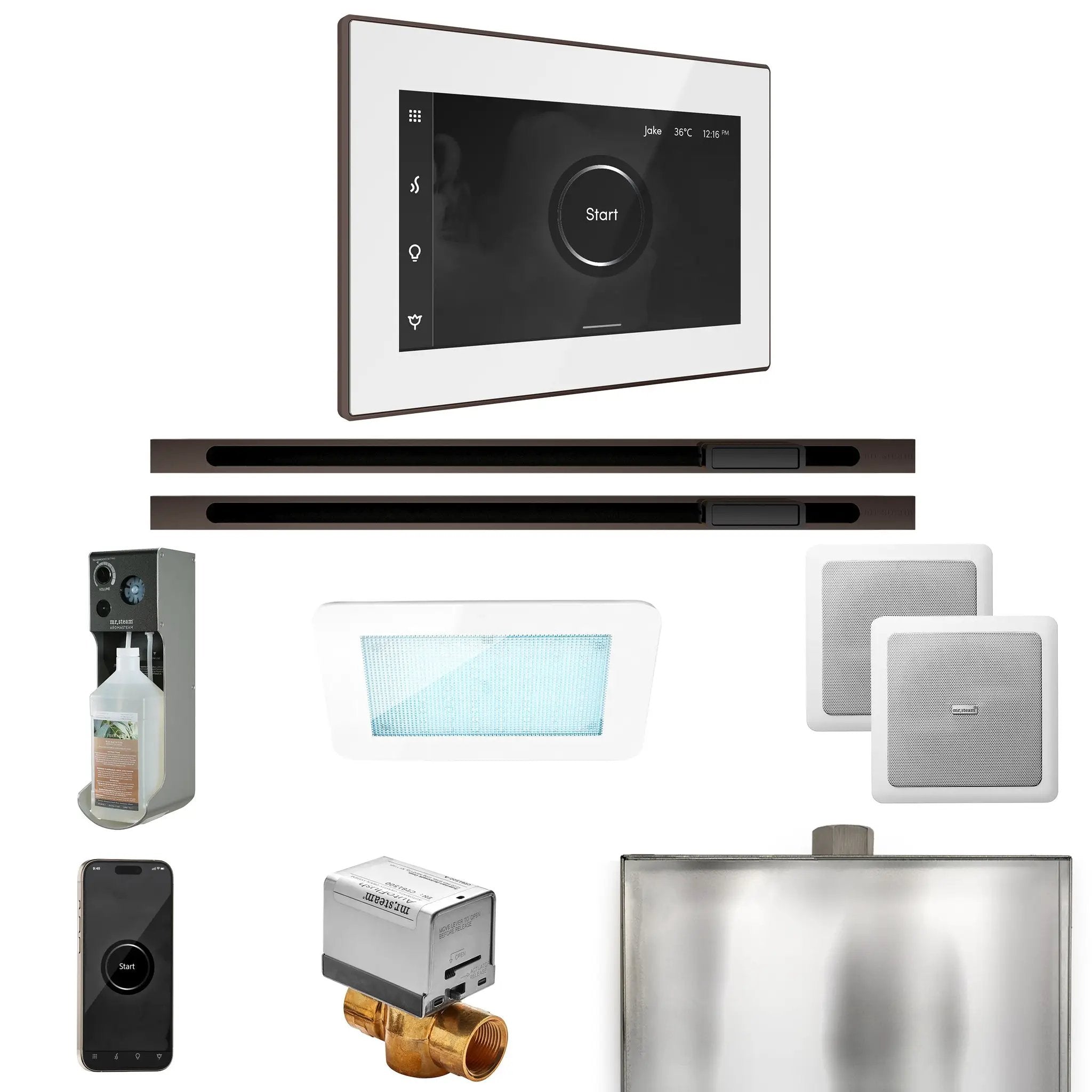 Mr Steam XDream Max Steam Shower Control Package with iSteamX Control and Linear Steamhead by Mr Steam