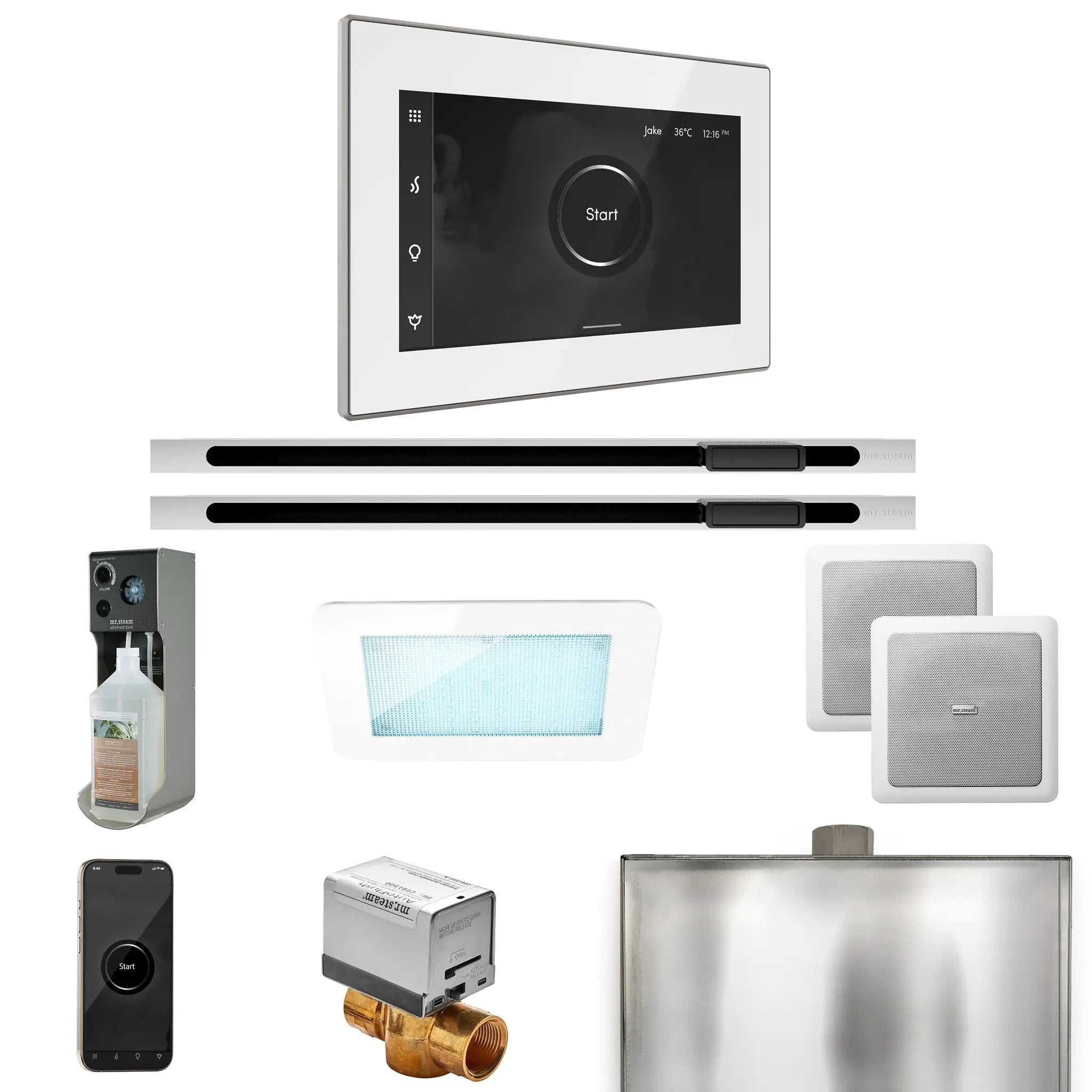 Mr Steam XDream Max Steam Shower Control Package with iSteamX Control and Linear Steamhead by Mr Steam