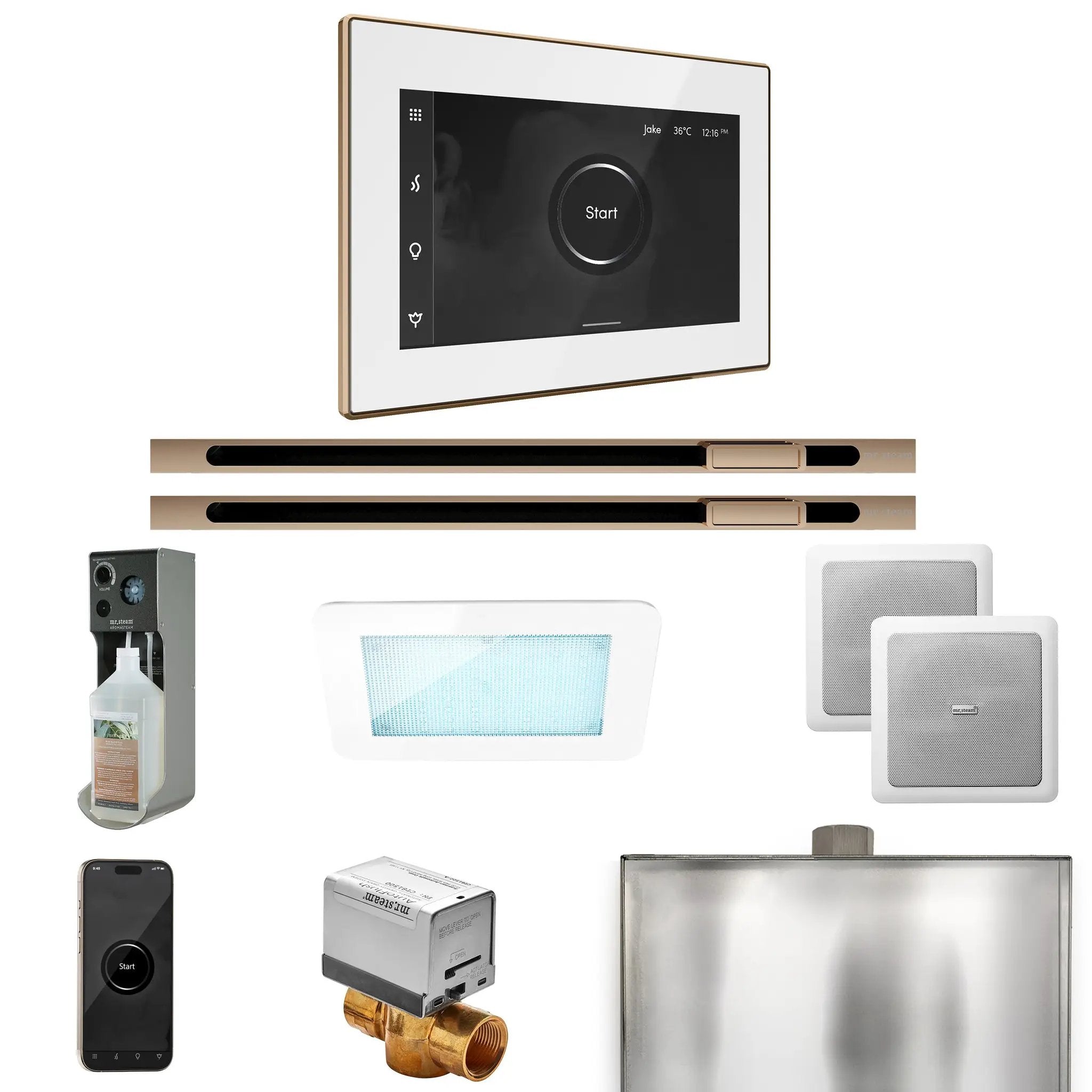Mr Steam XDream Max Steam Shower Control Package with iSteamX Control and Linear Steamhead by Mr Steam