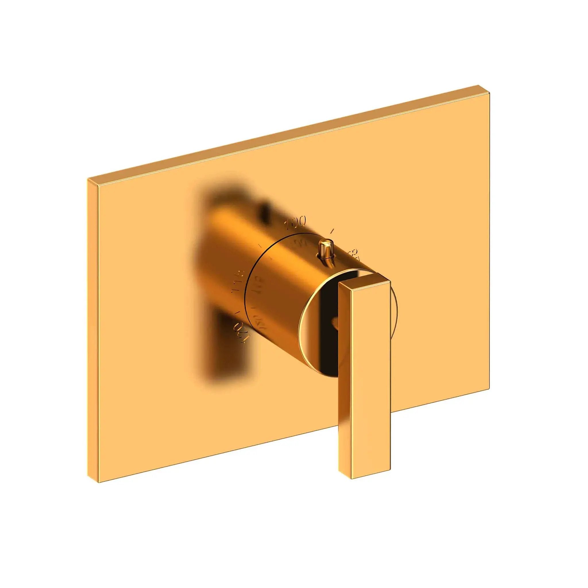 Newport Brass Secant 3/4" Rectangular Thermostatic Trim Plate with Handle by Newport Brass