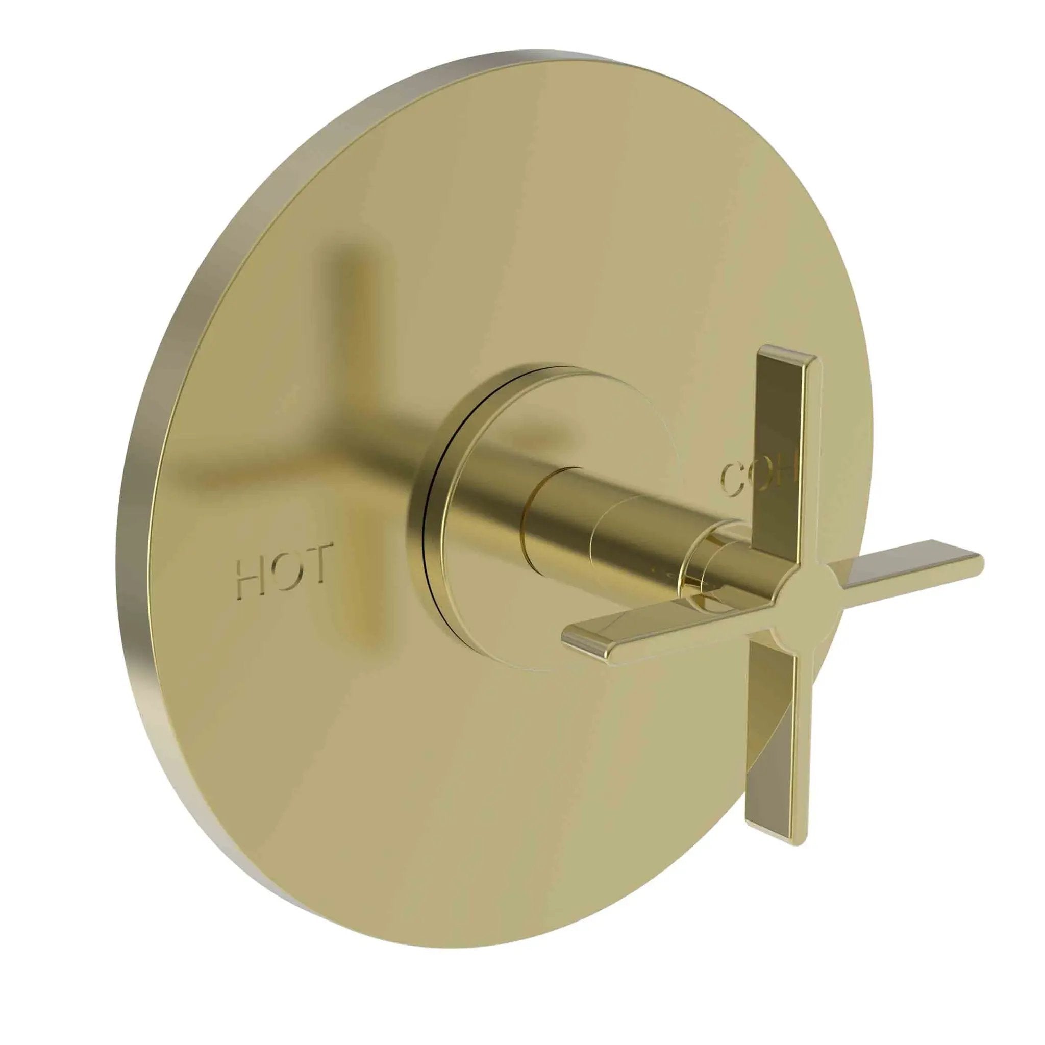 Newport Brass Tolmin Balanced Pressure Shower Trim Plate with Handle. Less showerhead, arm and flange. by Newport Brass