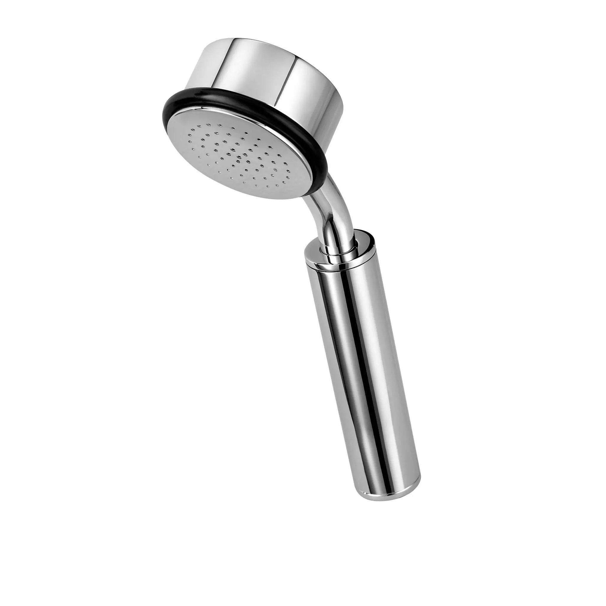 polished chrome hand shower