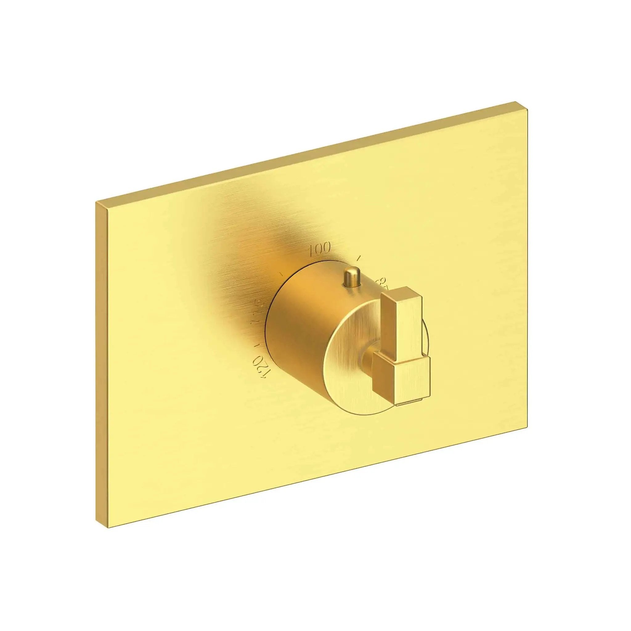Newport Brass Malvina 3/4" Square Thermostatic Trim Plate with Handle by Newport Brass