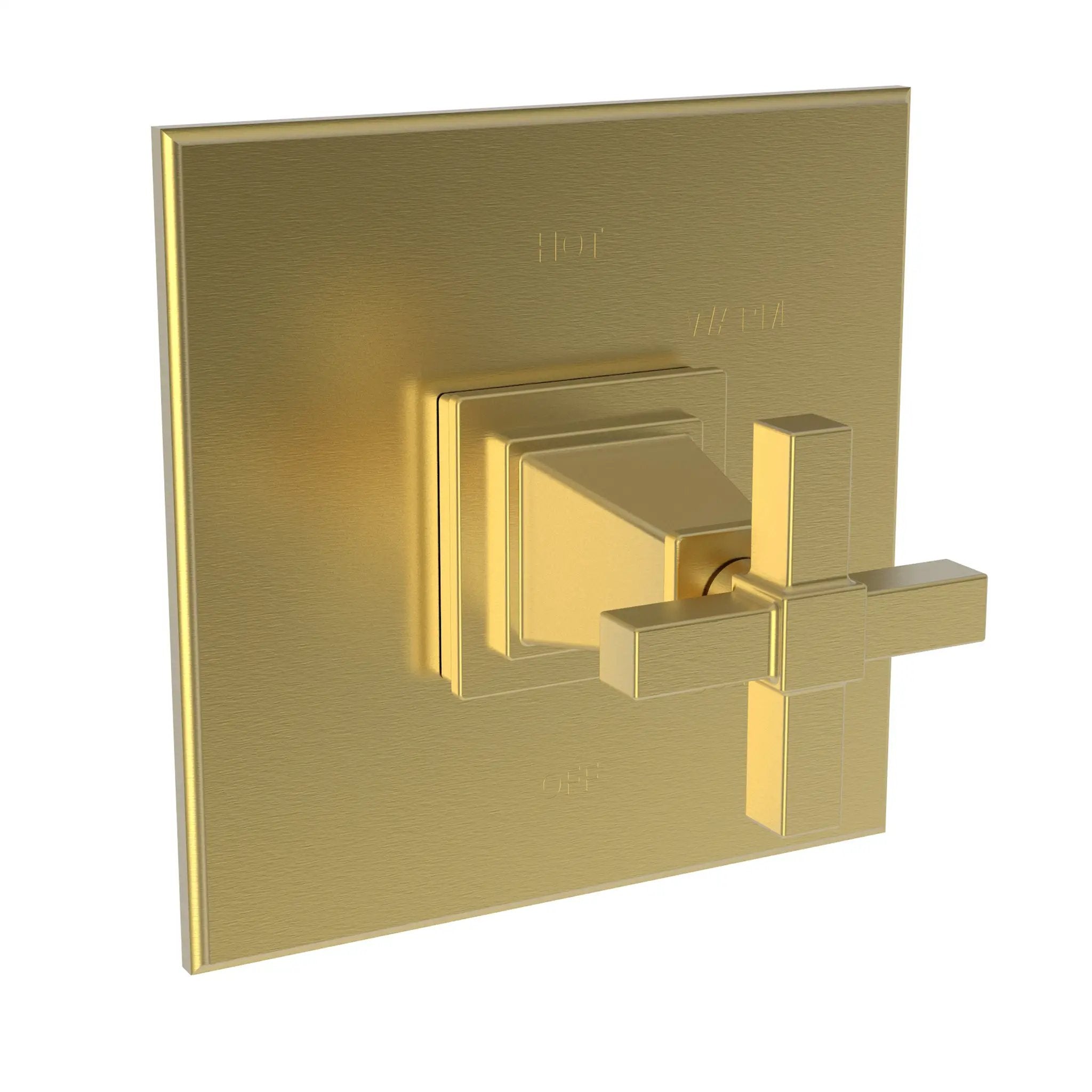 Newport Brass Malvina Balanced Pressure Shower Trim Plate with Handle. Less showerhead, arm and flange. by Newport Brass