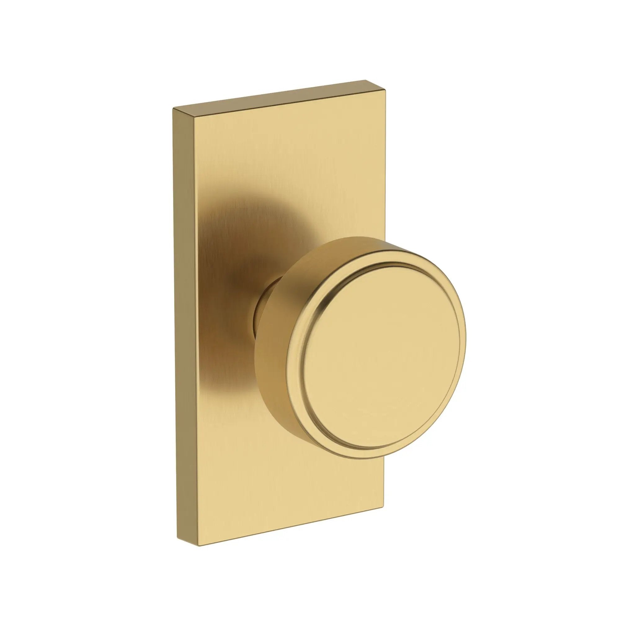 Baldwin Reserve Vashon Lever with Contemporary 5" Rose by Baldwin