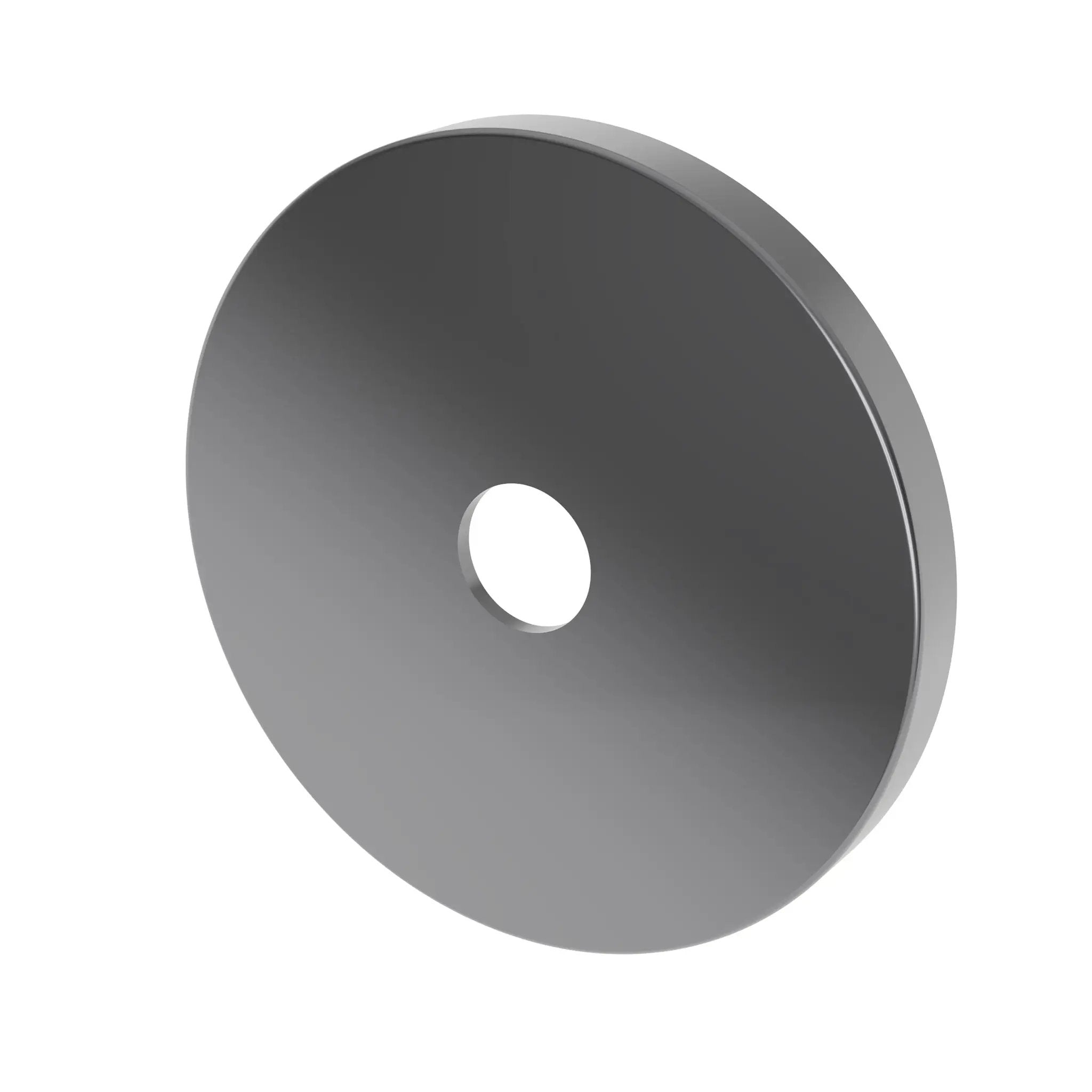 Newport Brass Tub & Shower Diverter Plate by Newport Brass