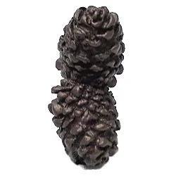 cabinet knob