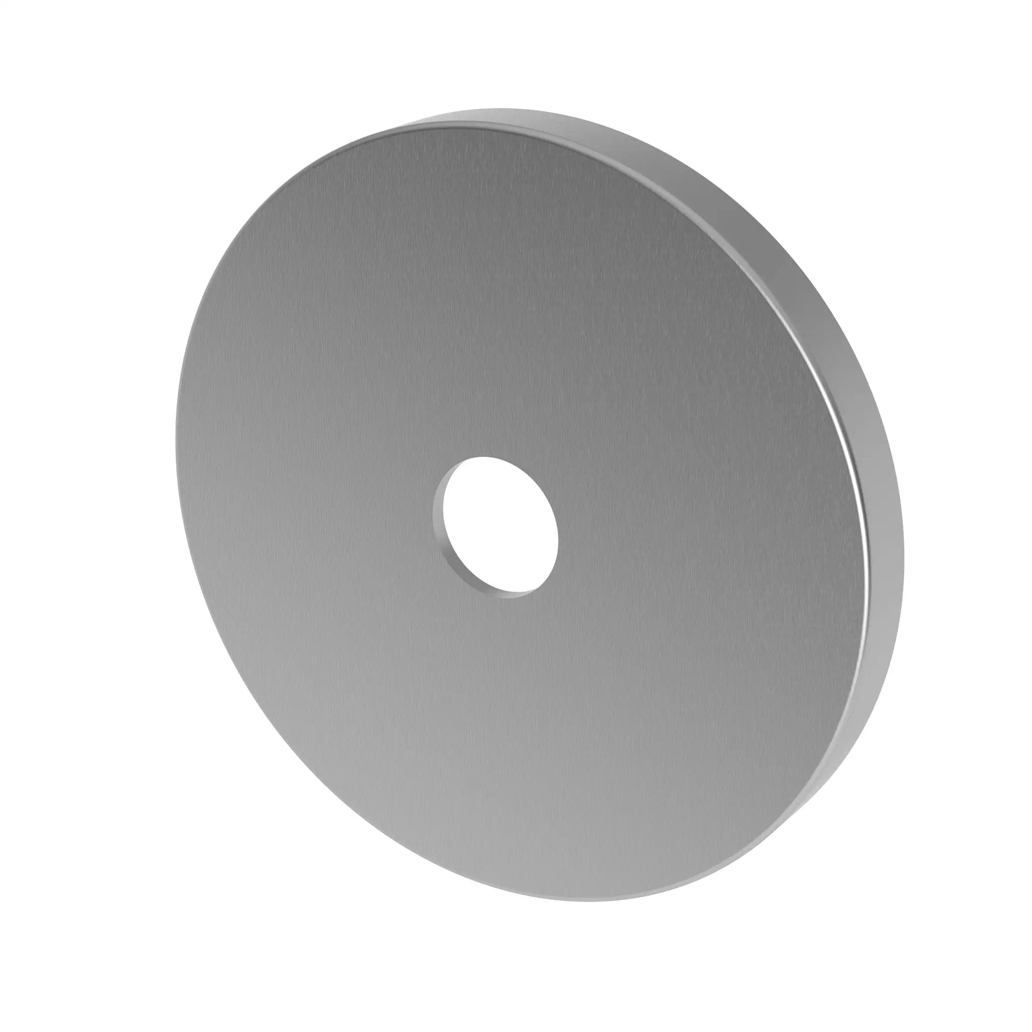 Newport Brass Tub & Shower Diverter Plate by Newport Brass