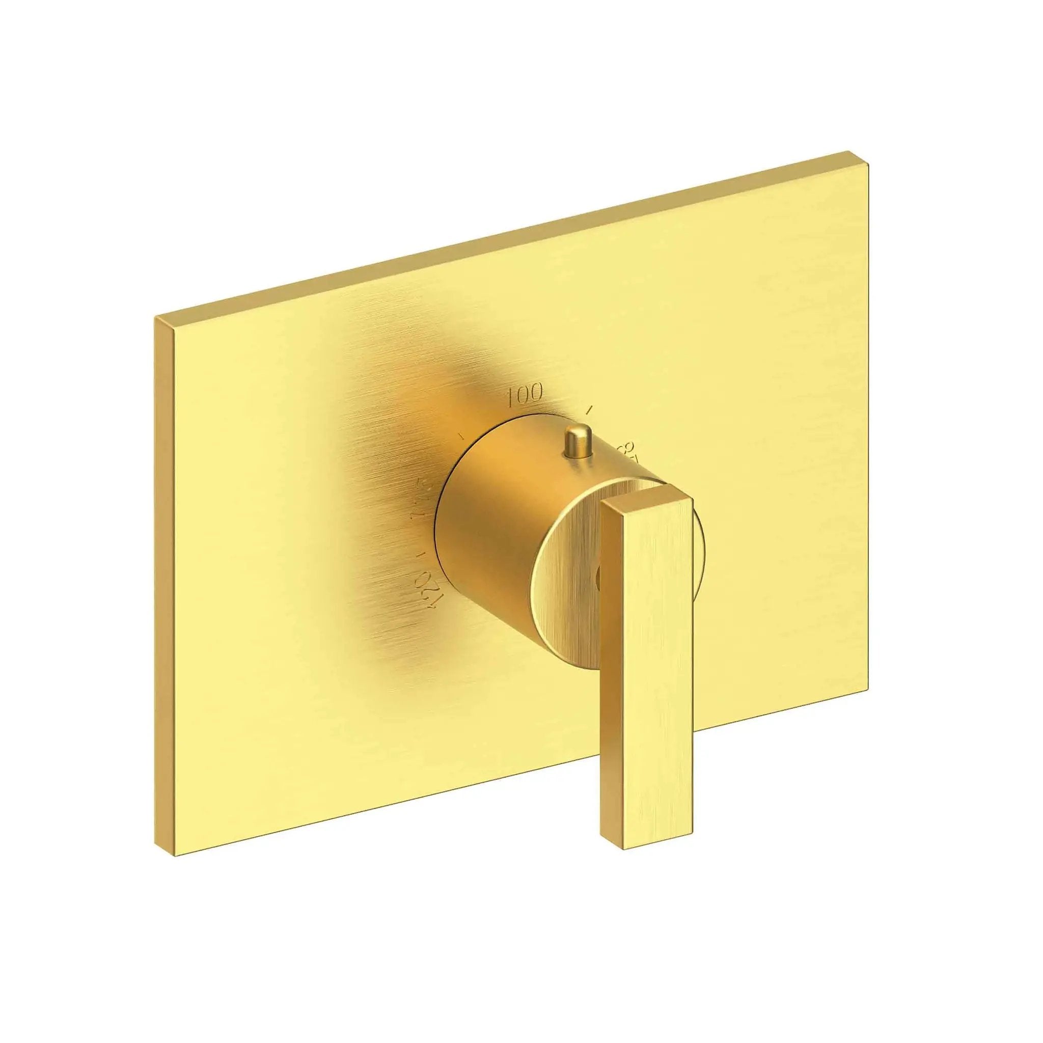 Newport Brass Secant 3/4" Rectangular Thermostatic Trim Plate with Handle by Newport Brass