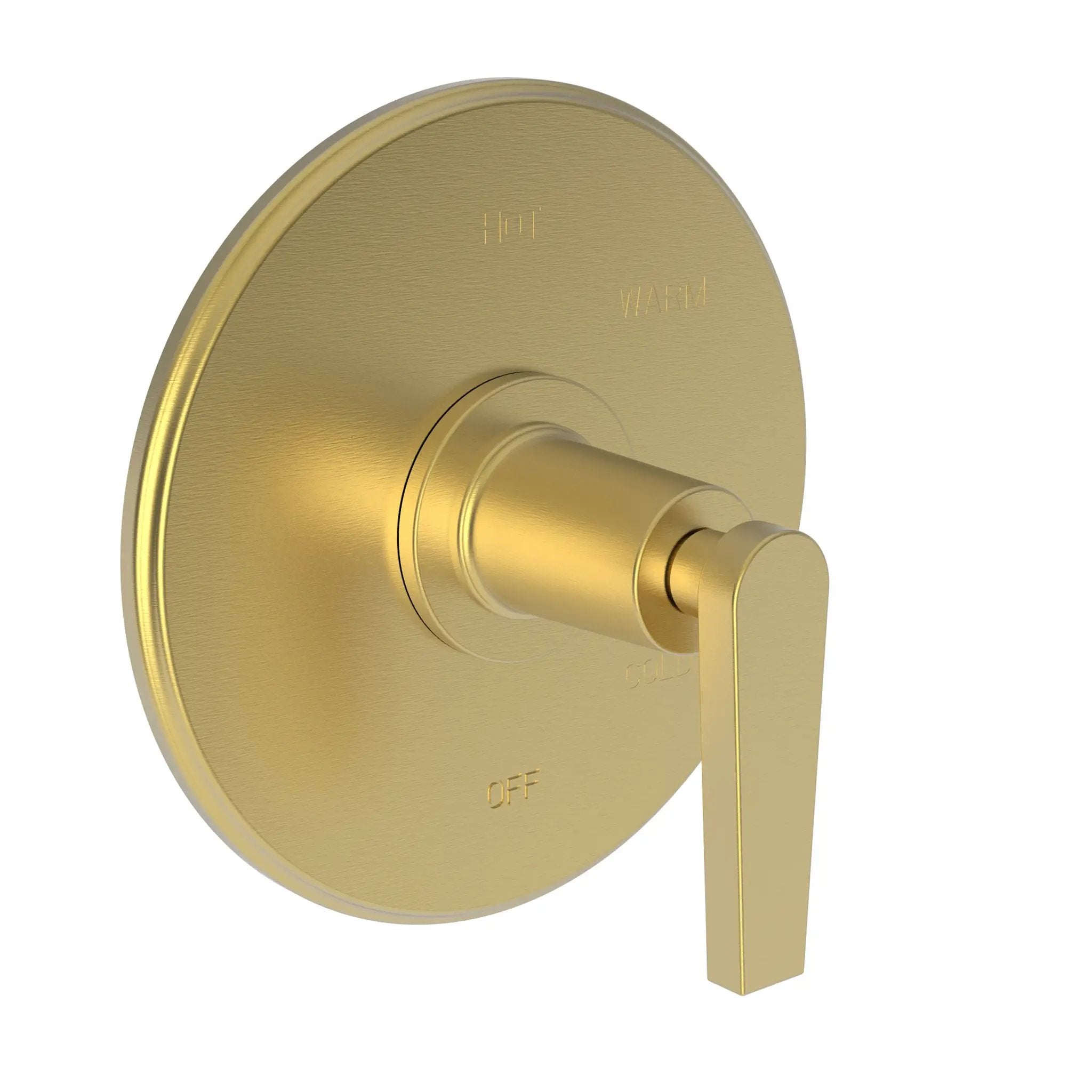 Newport Brass Dorrance Balanced Pressure Shower Trim Plate with Handle. Less showerhead, arm and flange. by Newport Brass