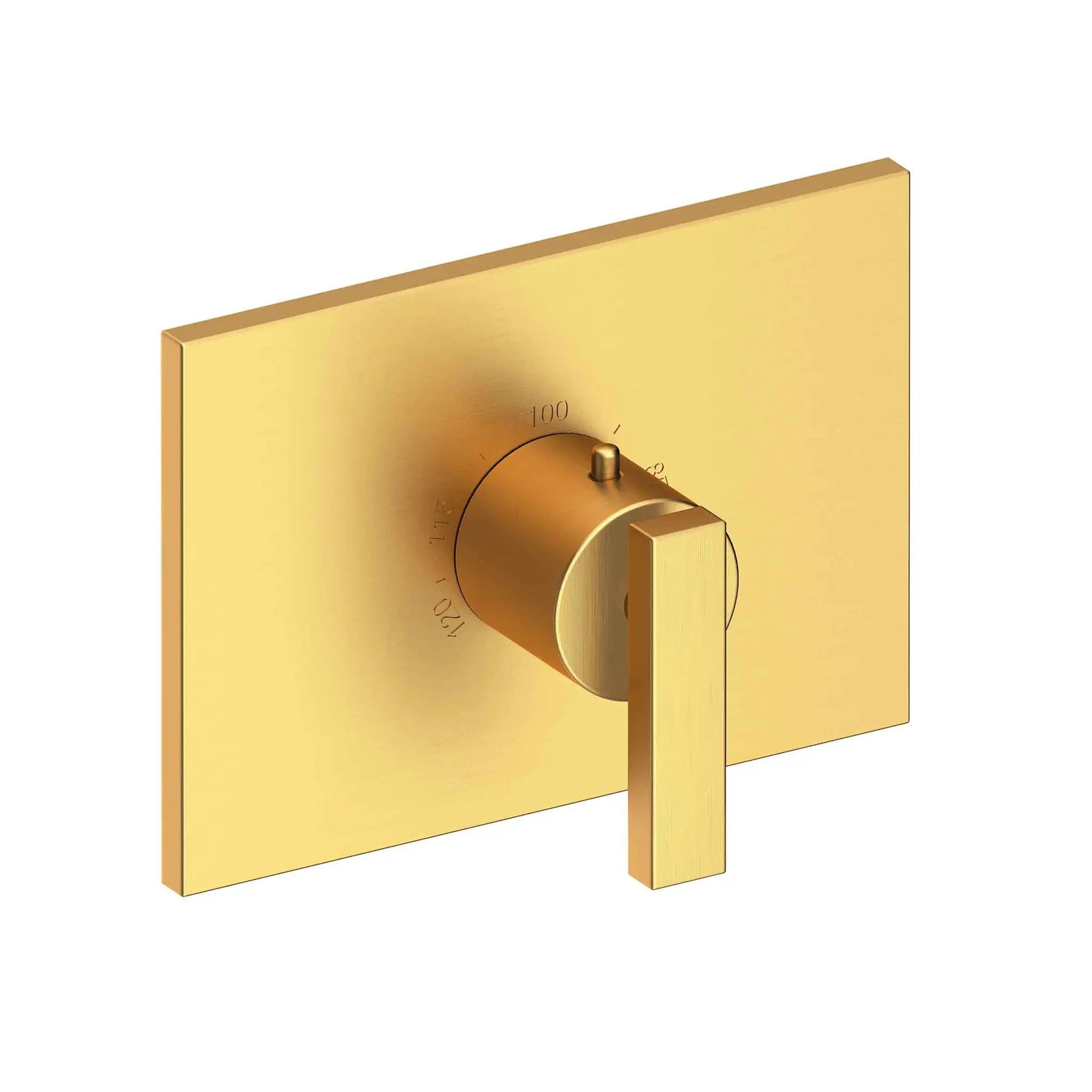 Newport Brass Secant 3/4" Rectangular Thermostatic Trim Plate with Handle by Newport Brass