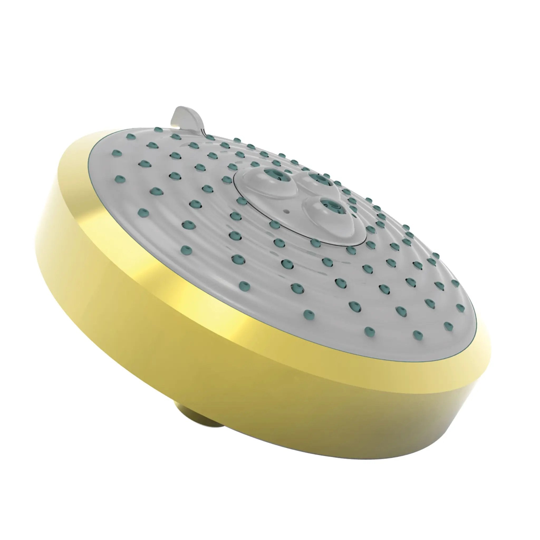 Newport Brass Tub & Shower Multifunction Showerhead by Newport Brass