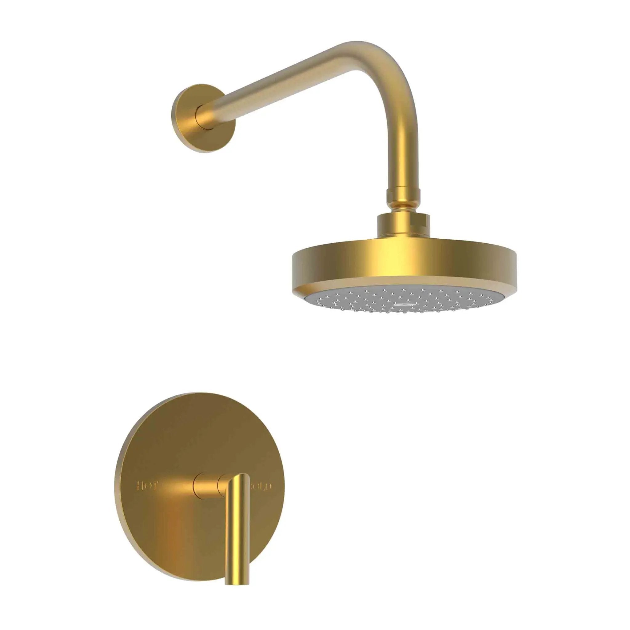 Newport Brass Pavani Balanced Pressure Shower Trim Set by Newport Brass
