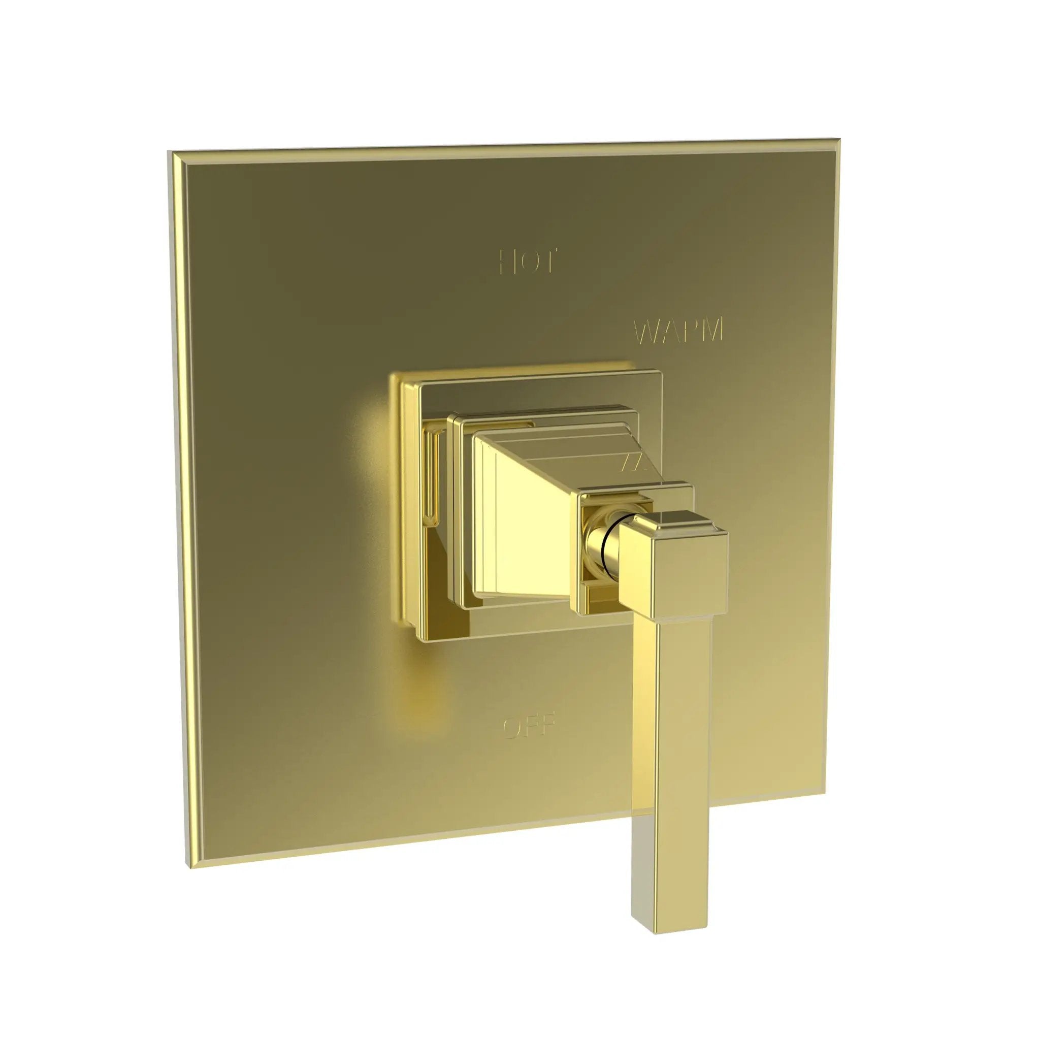 Newport Brass Malvina Balanced Pressure Shower Trim Plate with Handle. Less showerhead, arm and flange. by Newport Brass