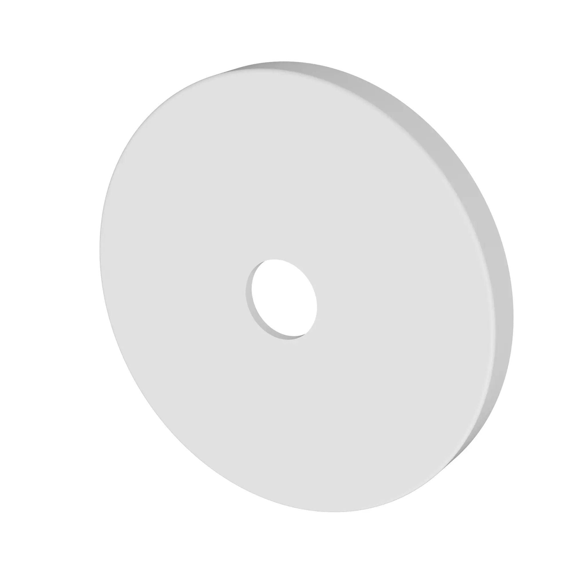 Newport Brass Tub & Shower Diverter Plate by Newport Brass