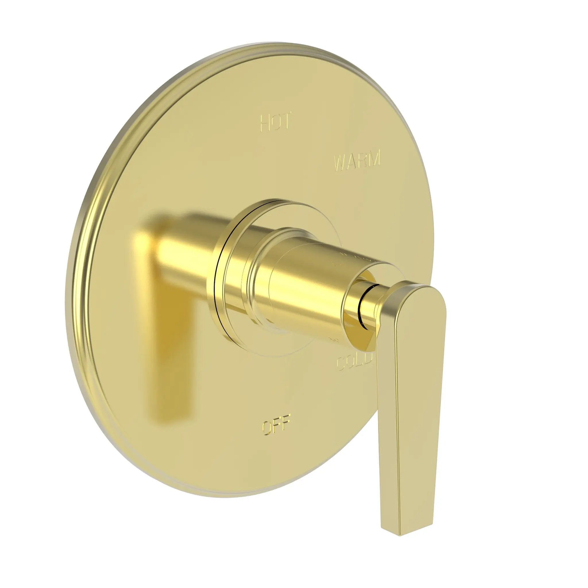 Newport Brass Dorrance Balanced Pressure Shower Trim Plate with Handle. Less showerhead, arm and flange. by Newport Brass