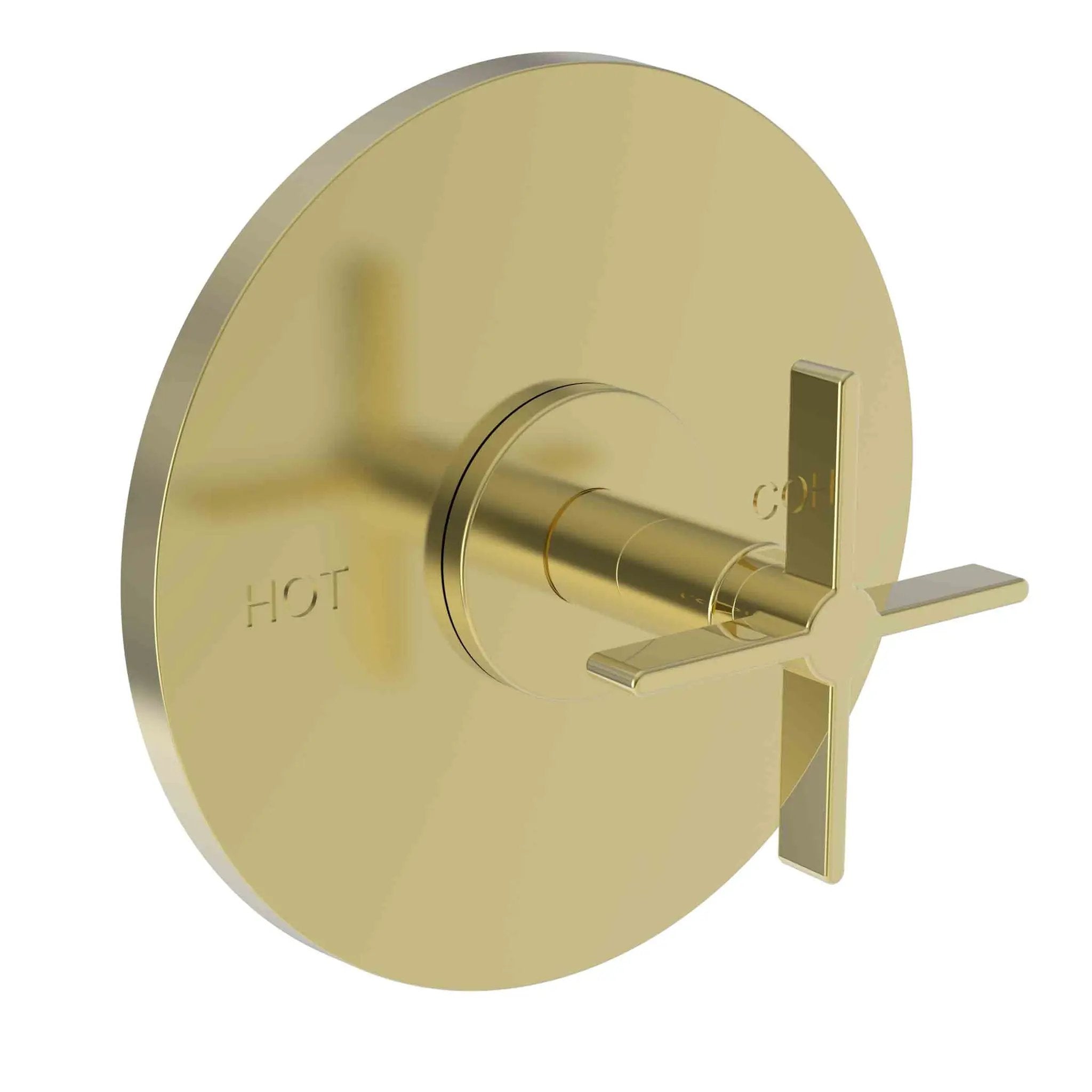 Newport Brass Tolmin Balanced Pressure Shower Trim Plate with Handle. Less showerhead, arm and flange. by Newport Brass