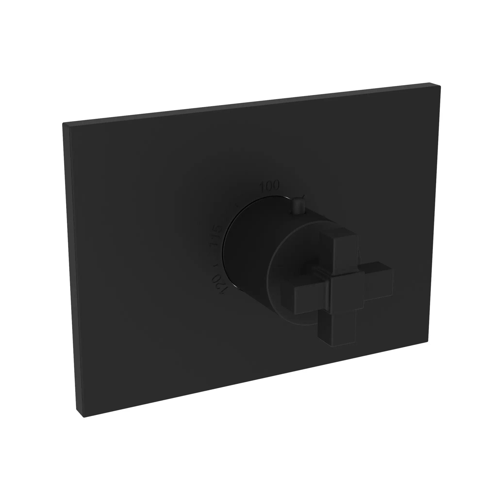Newport Brass Malvina 3/4" Square Thermostatic Trim Plate with Handle by Newport Brass