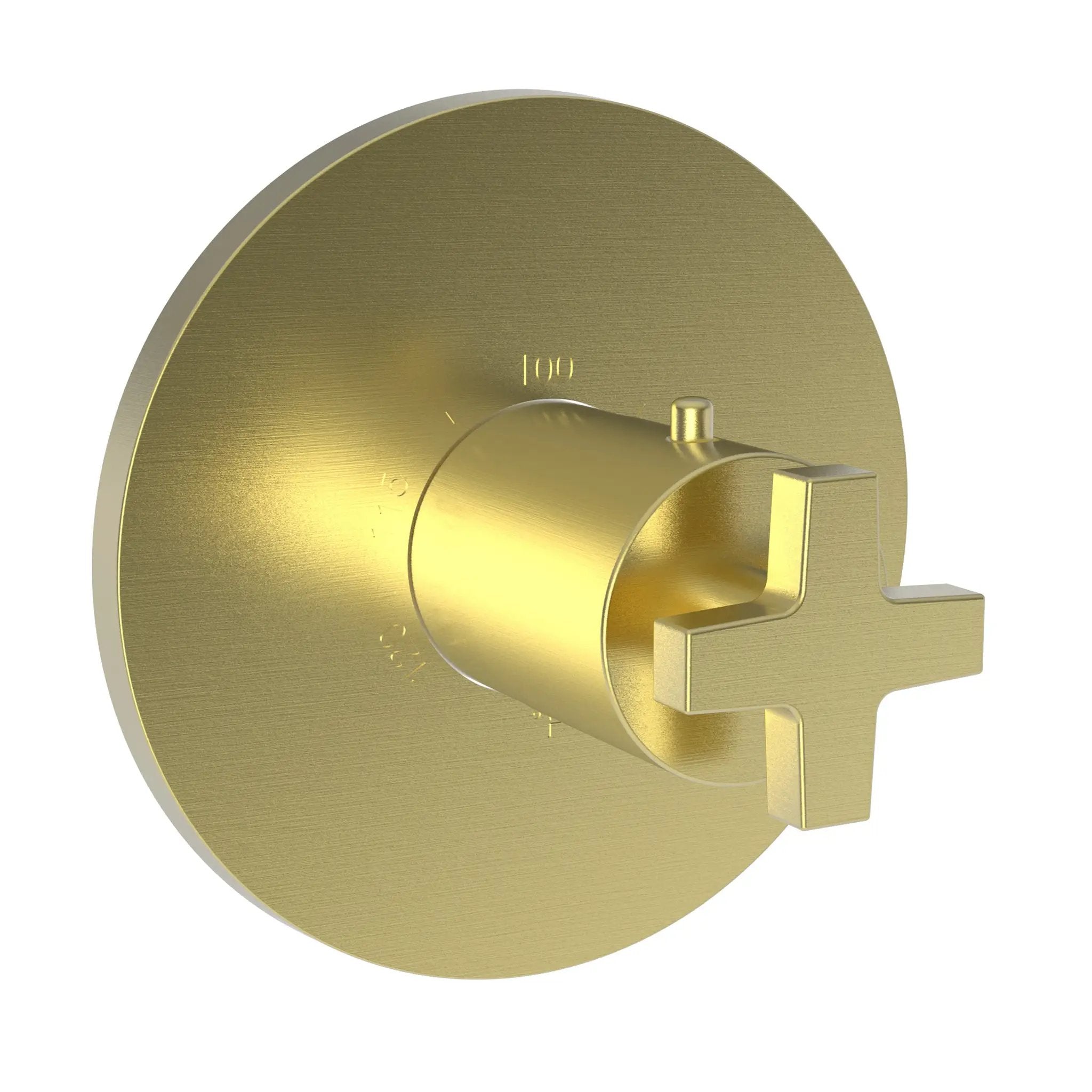 Newport Brass Dorrance 3/4" Round Thermostatic Trim Plate with Handle by Newport Brass