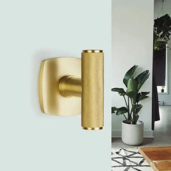 satin brass door knob