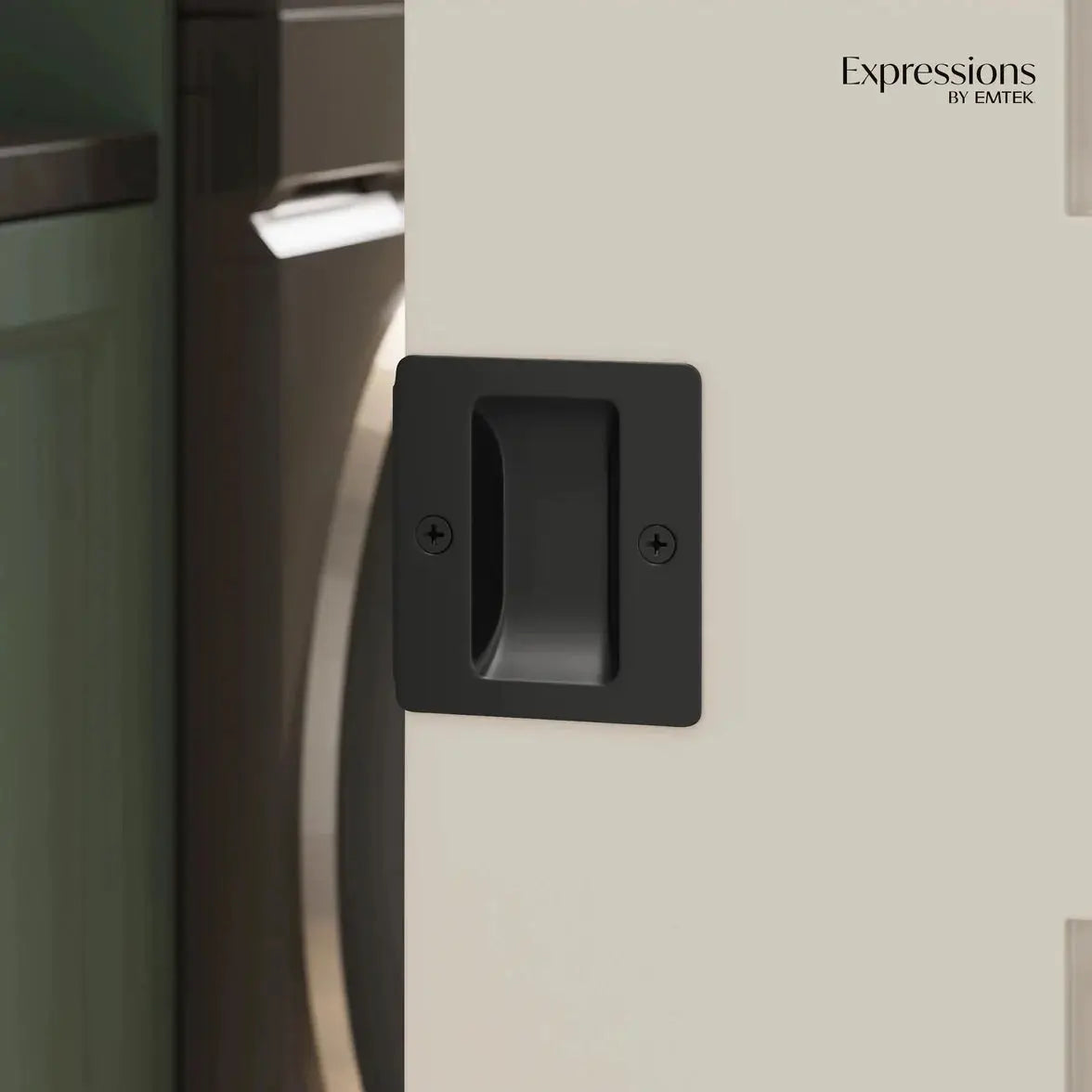 matte black pocket door