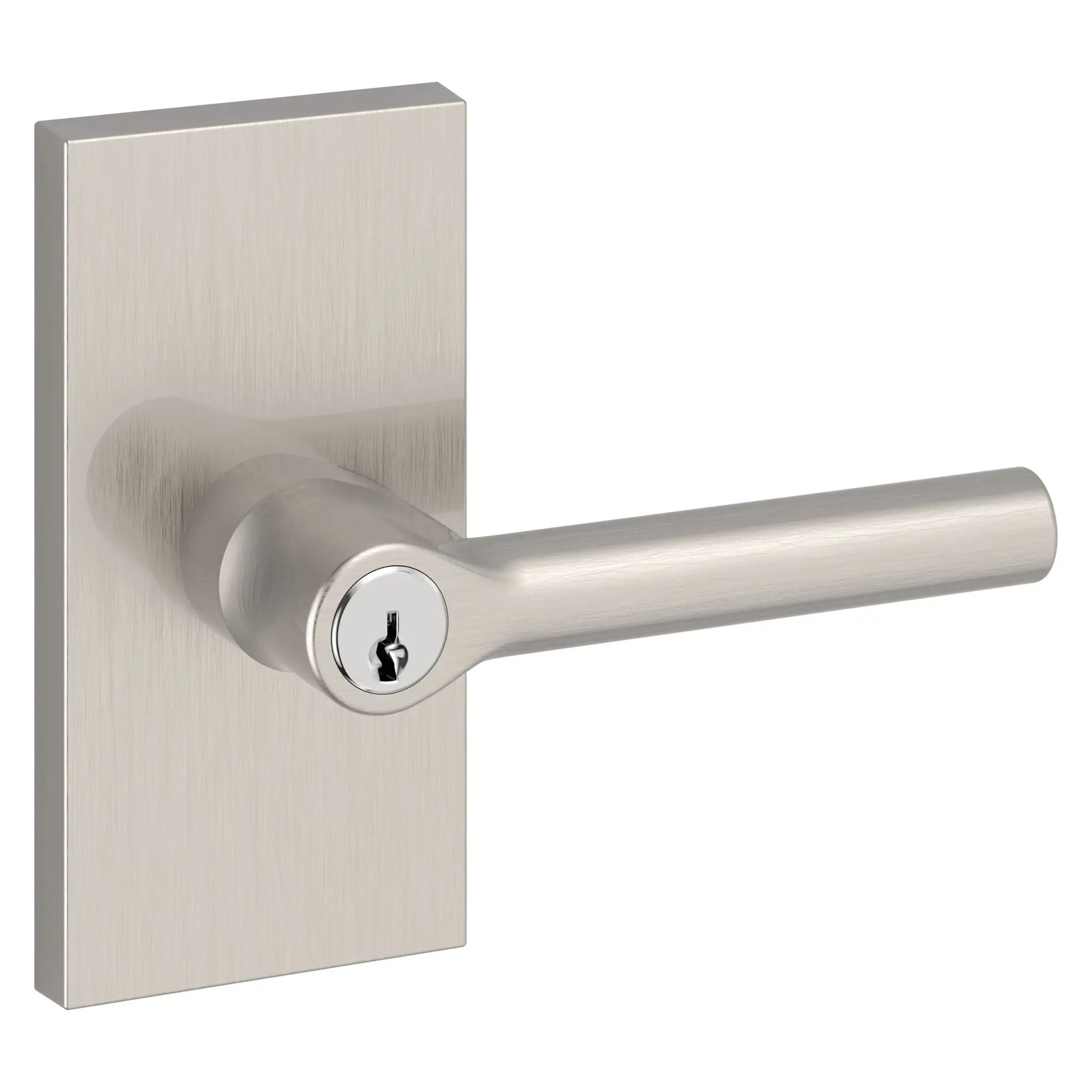Baldwin Reserve Tube Lever and Contemporary 5" Rose by Baldwin