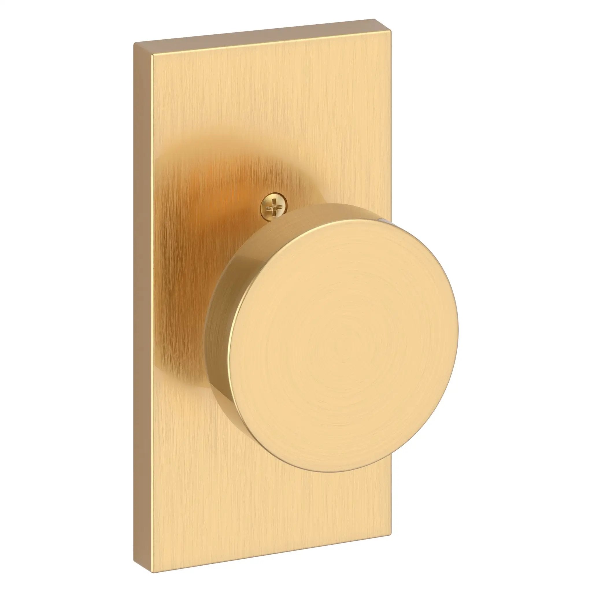Baldwin Reserve Contemporary Knob and 5" Rose by Baldwin