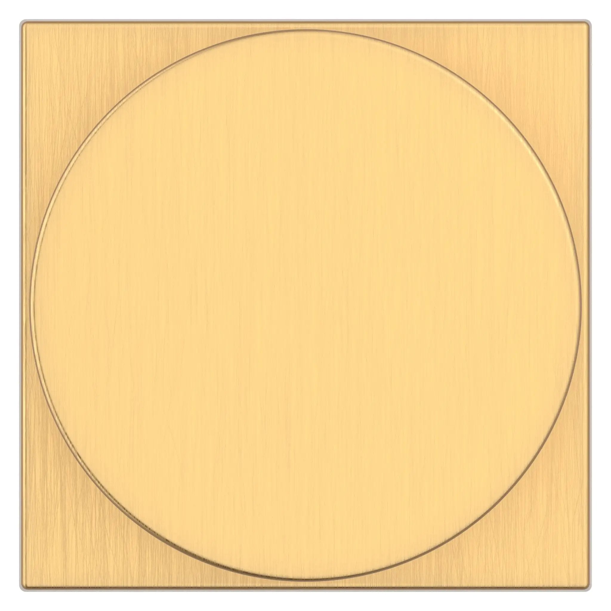 satin brass door knob