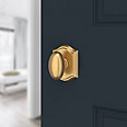 satin brass door knob