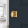 satin brass door knob