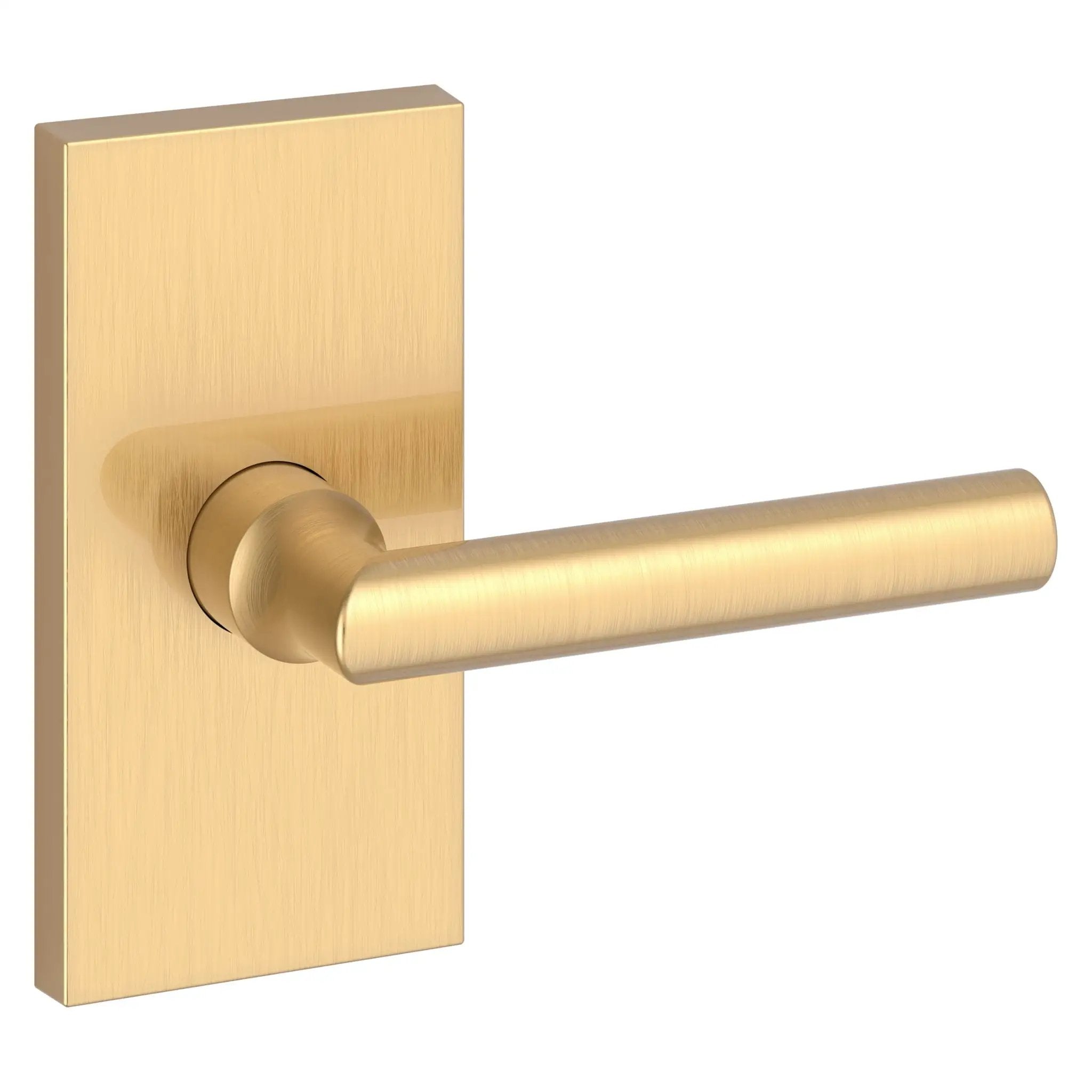 Baldwin Reserve Tube Lever and Contemporary 5" Rose by Baldwin