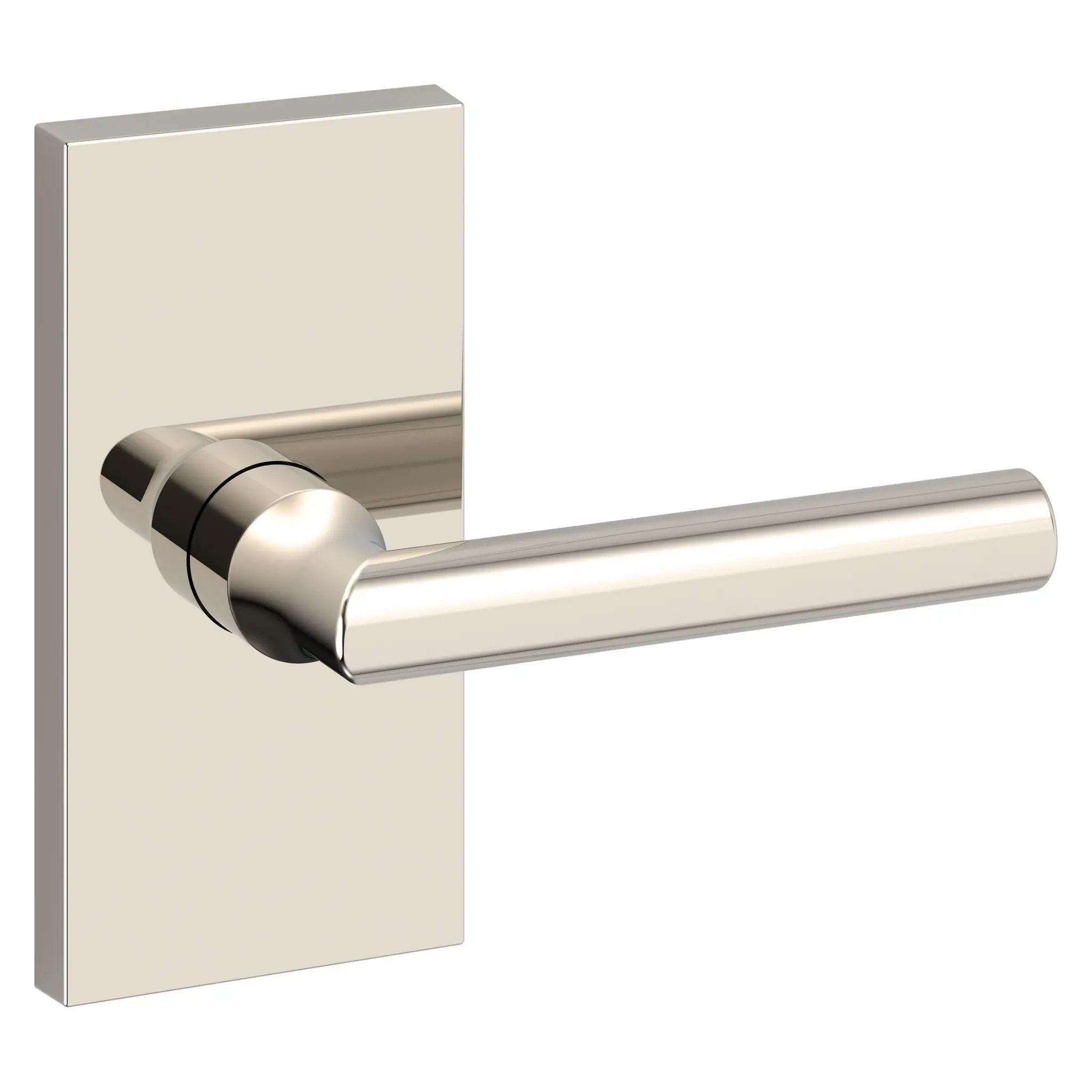 Baldwin Reserve Tube Lever and Contemporary 5" Rose by Baldwin