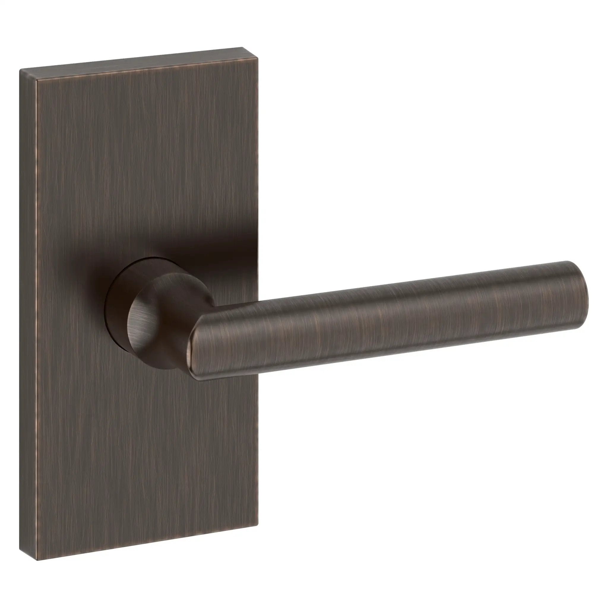 Baldwin Reserve Tube Lever and Contemporary 5" Rose by Baldwin
