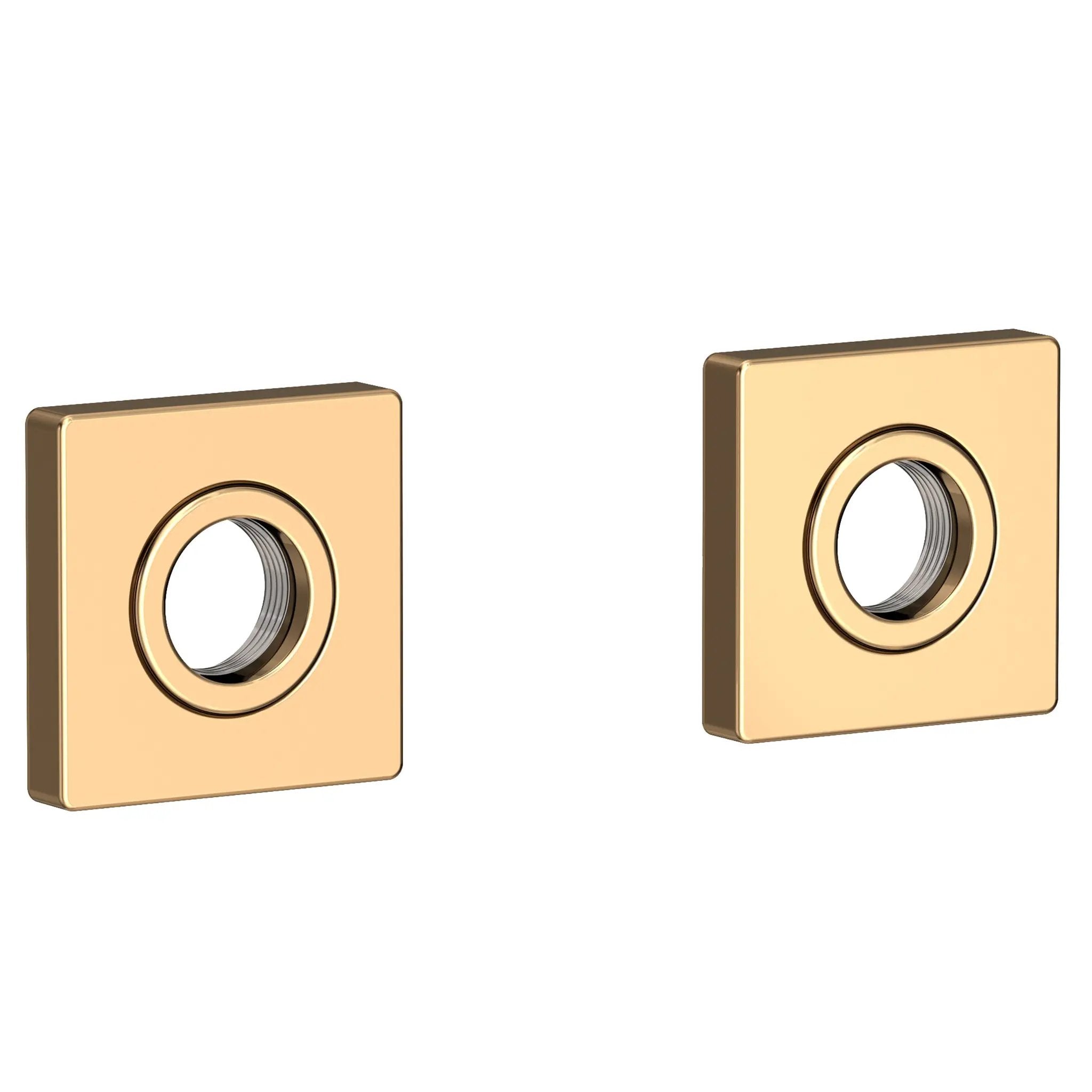 Newport Brass Secant Grab Bar Decorative Rings & Mounting Kit by Newport Brass