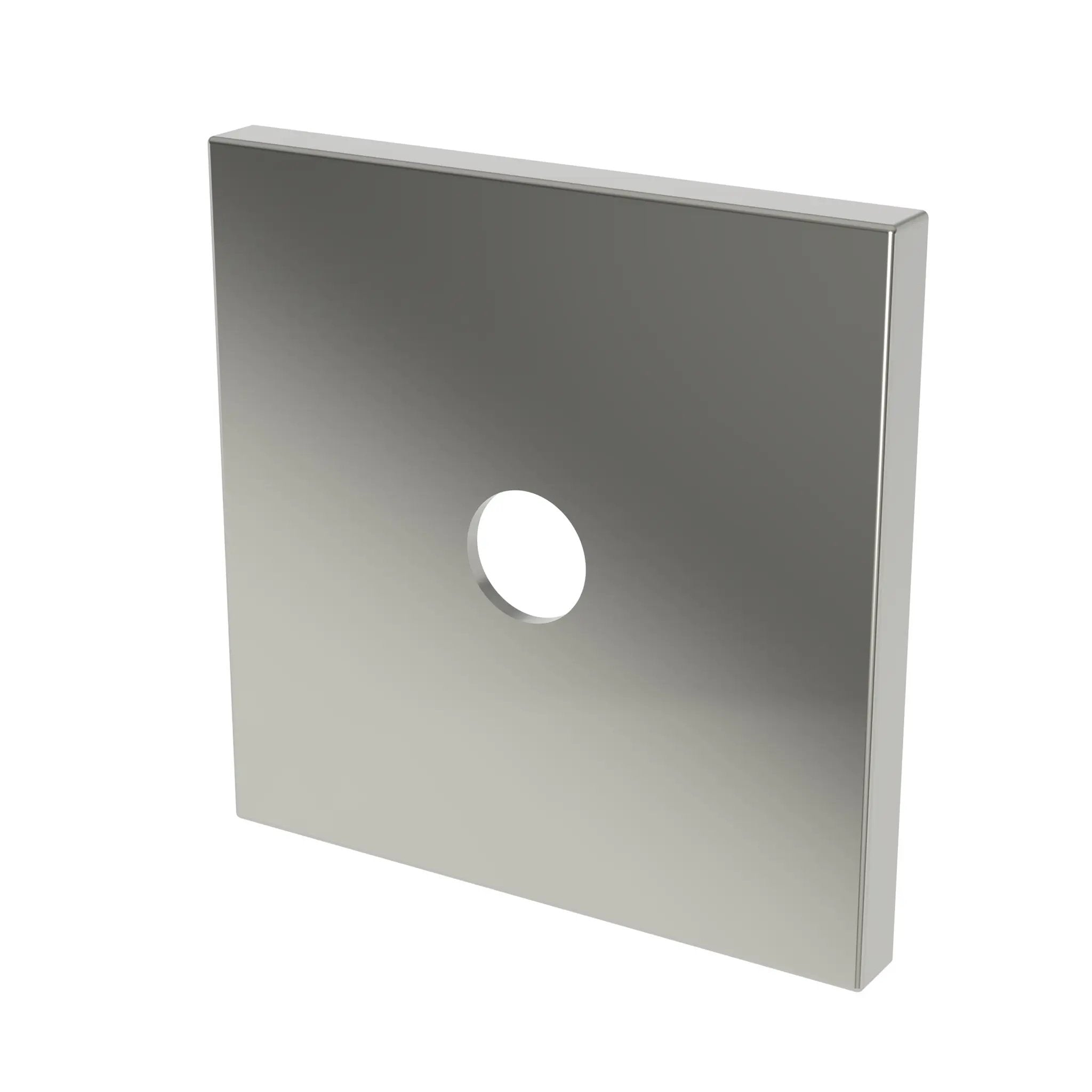 Newport Brass Tub & Shower Diverter Plate by Newport Brass