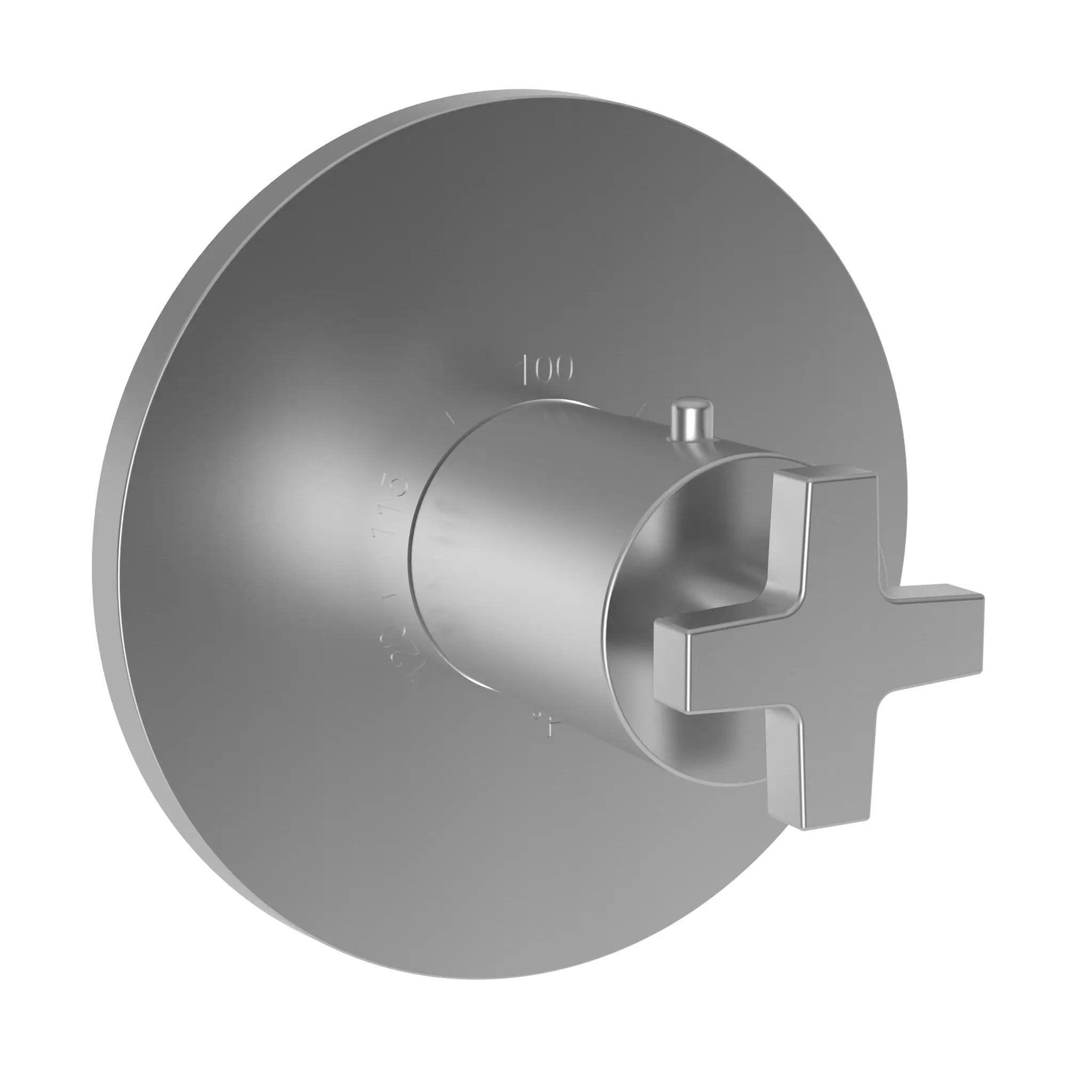Newport Brass Dorrance 3/4" Round Thermostatic Trim Plate with Handle by Newport Brass