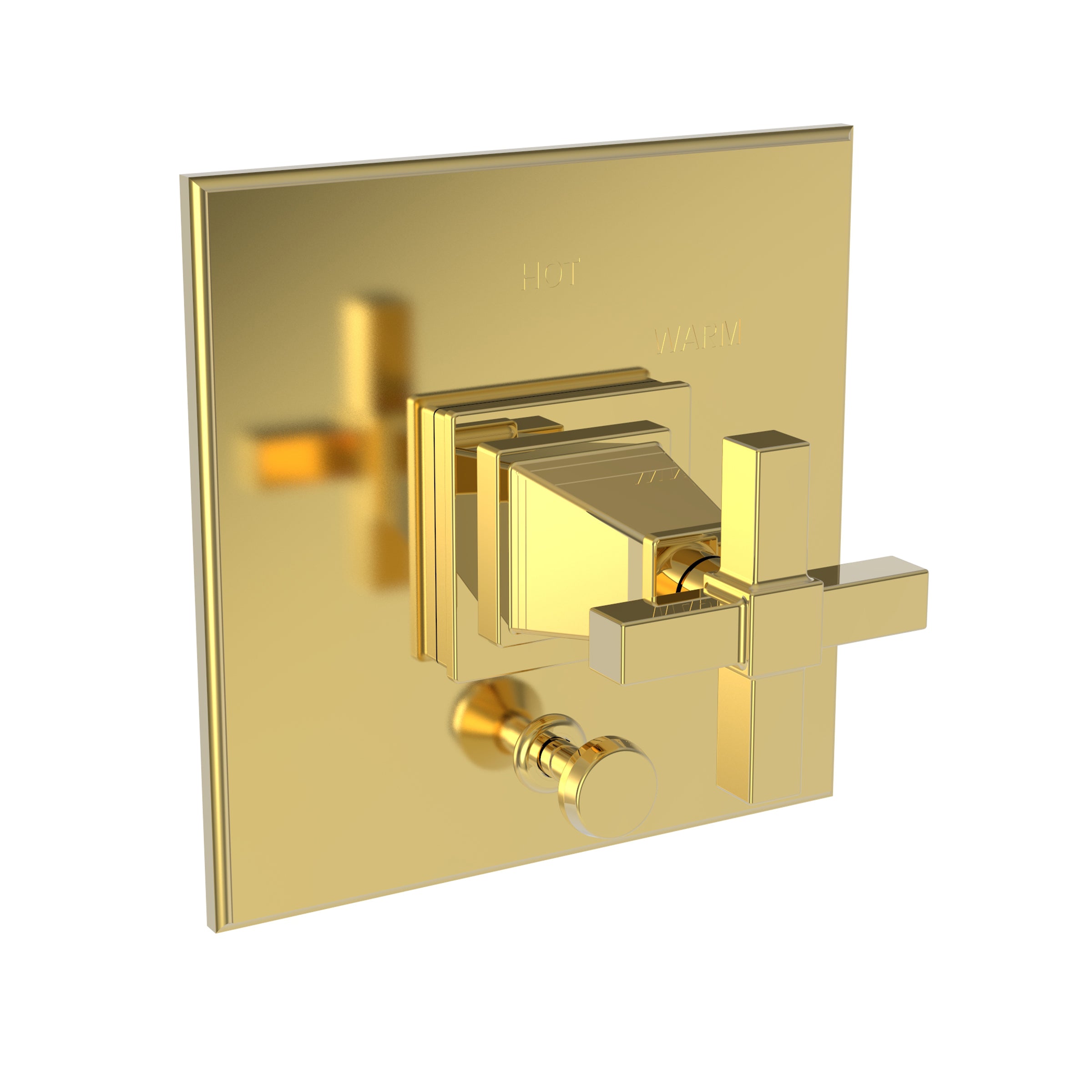 Newport Brass Malvina Balanced Pressure Tub & Shower Diverter Plate with Handle