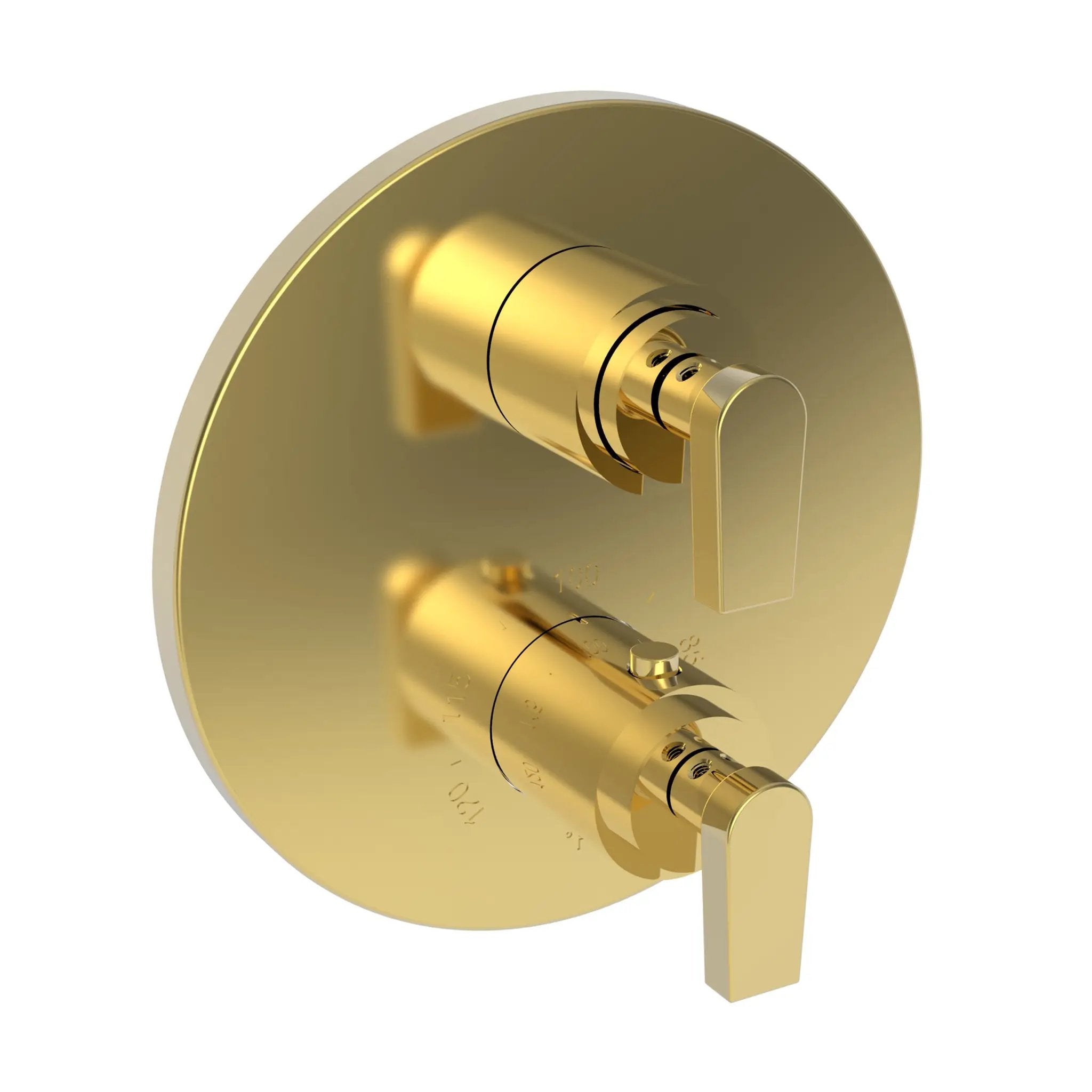 Newport Brass Dorrance 1/2" Round Thermostatic Trim Plate with Handle by Newport Brass