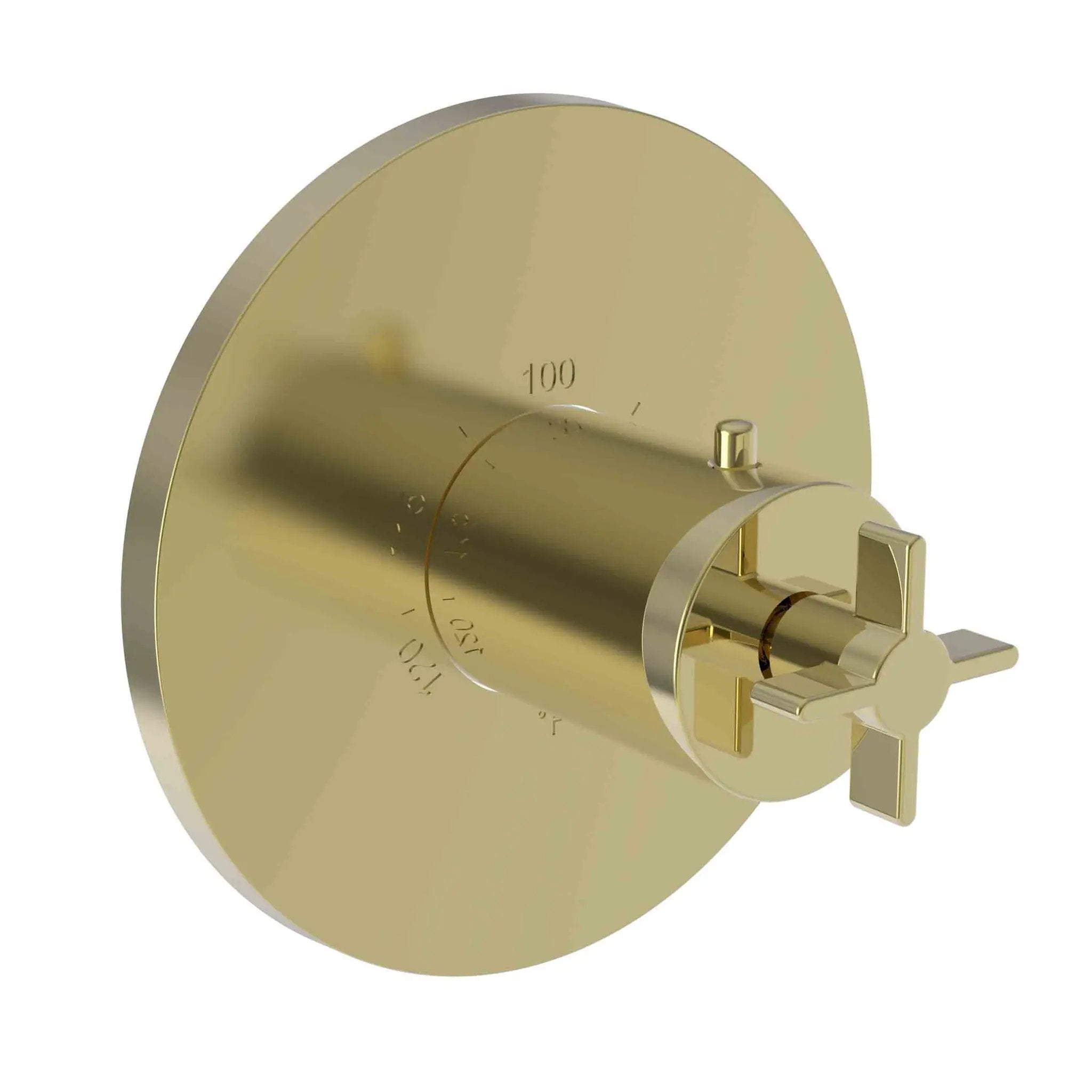 Newport Brass Tolmin 3/4" Round Thermostatic Trim Plate with Handle by Newport Brass