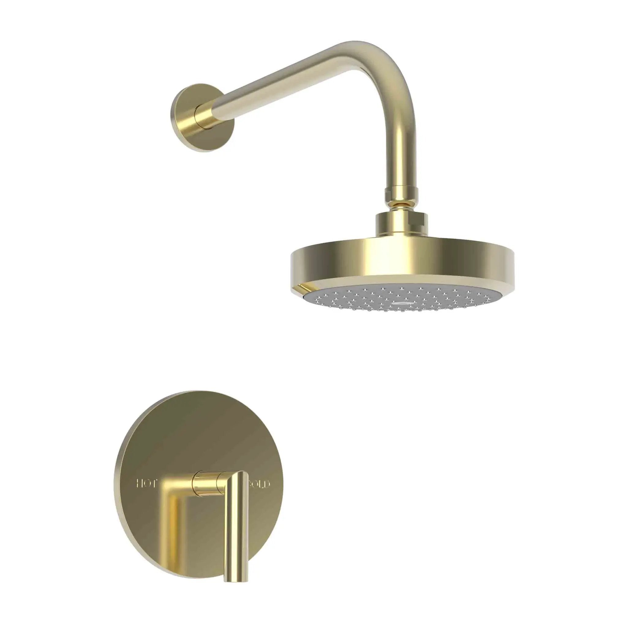 Newport Brass Pavani Balanced Pressure Shower Trim Set by Newport Brass