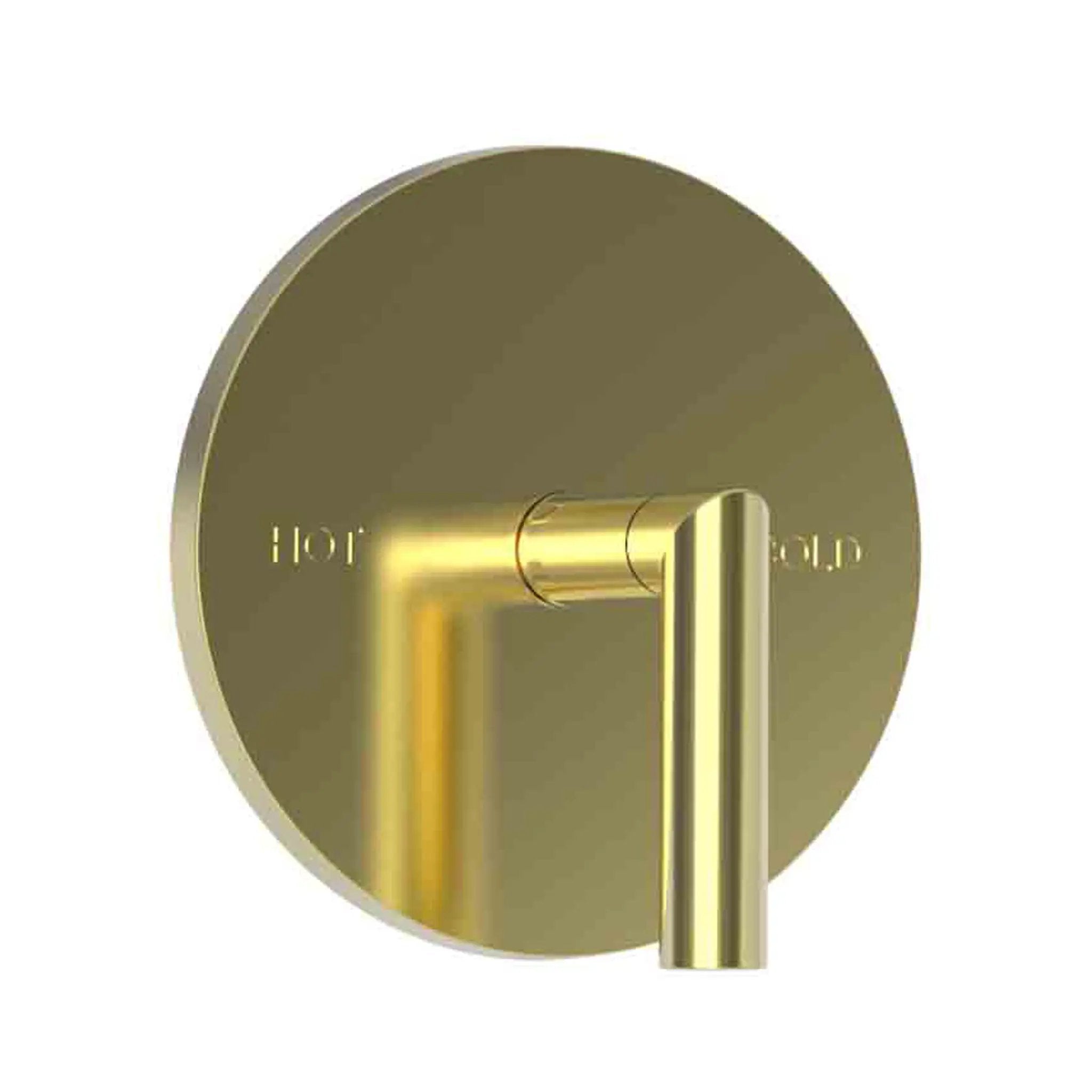 Newport Brass Pavani Balanced Pressure Shower Trim Plate with Handle. Less showerhead, arm and flange. by Newport Brass