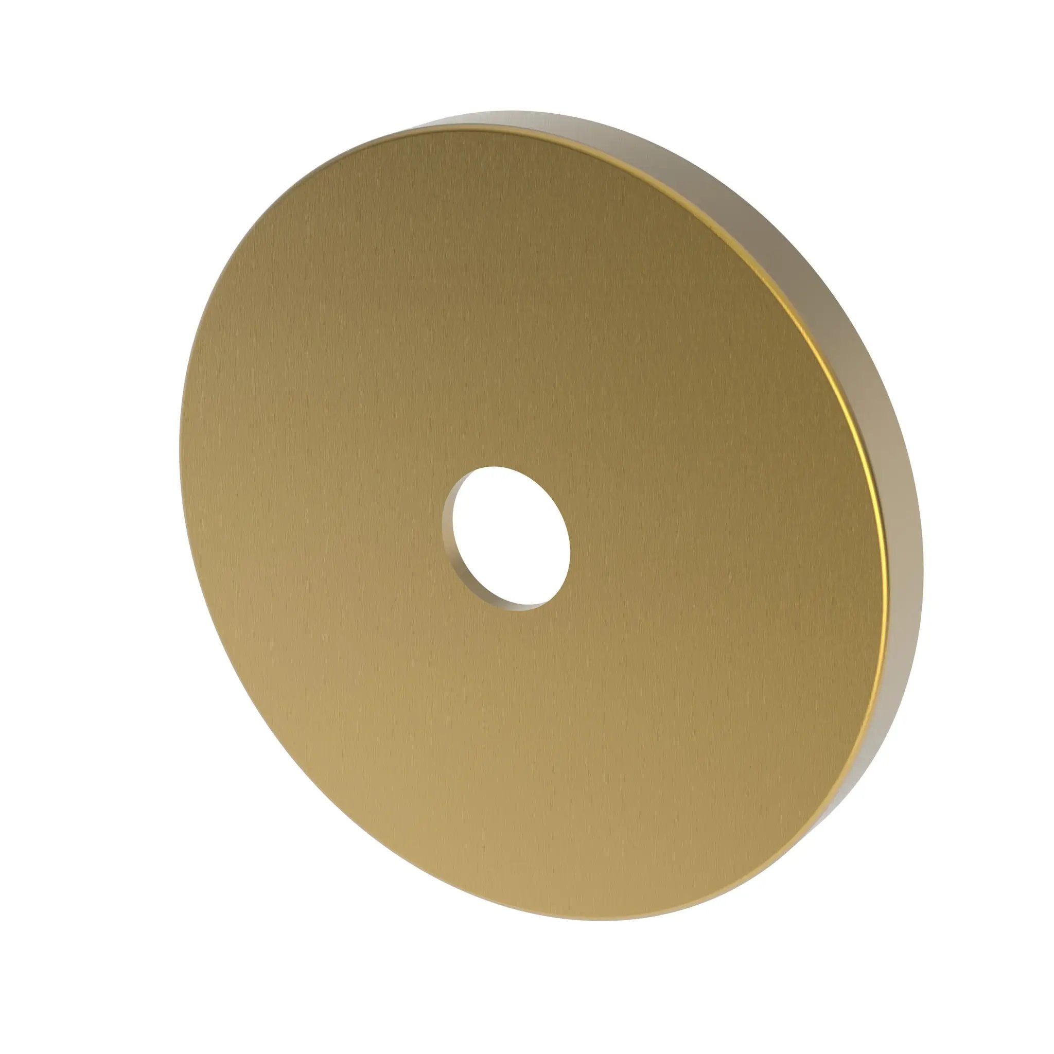 Newport Brass Tub & Shower Diverter Plate by Newport Brass