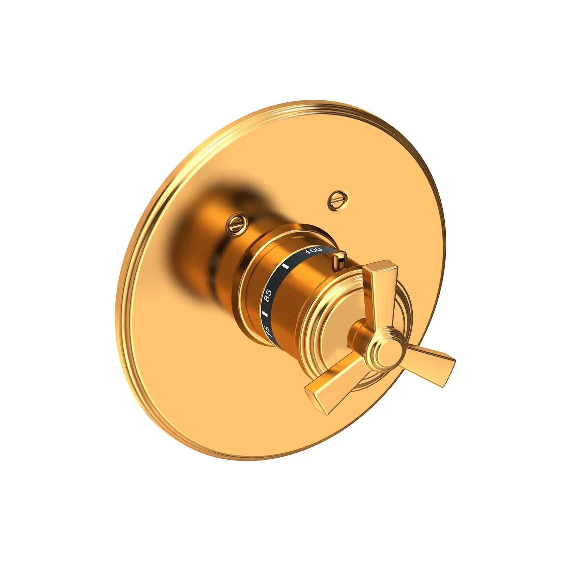 Newport Brass Miro 3/4" Round Thermostatic Trim Plate with Handle by Newport Brass