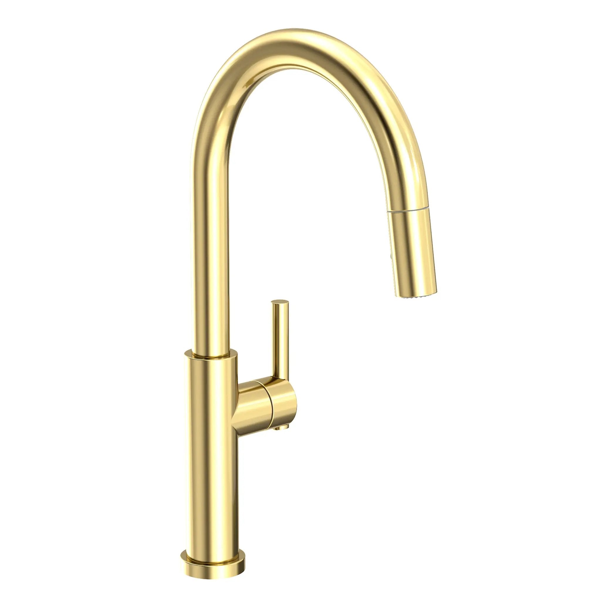 Newport Brass East Linear Pull-down Kitchen Faucet by Newport Brass