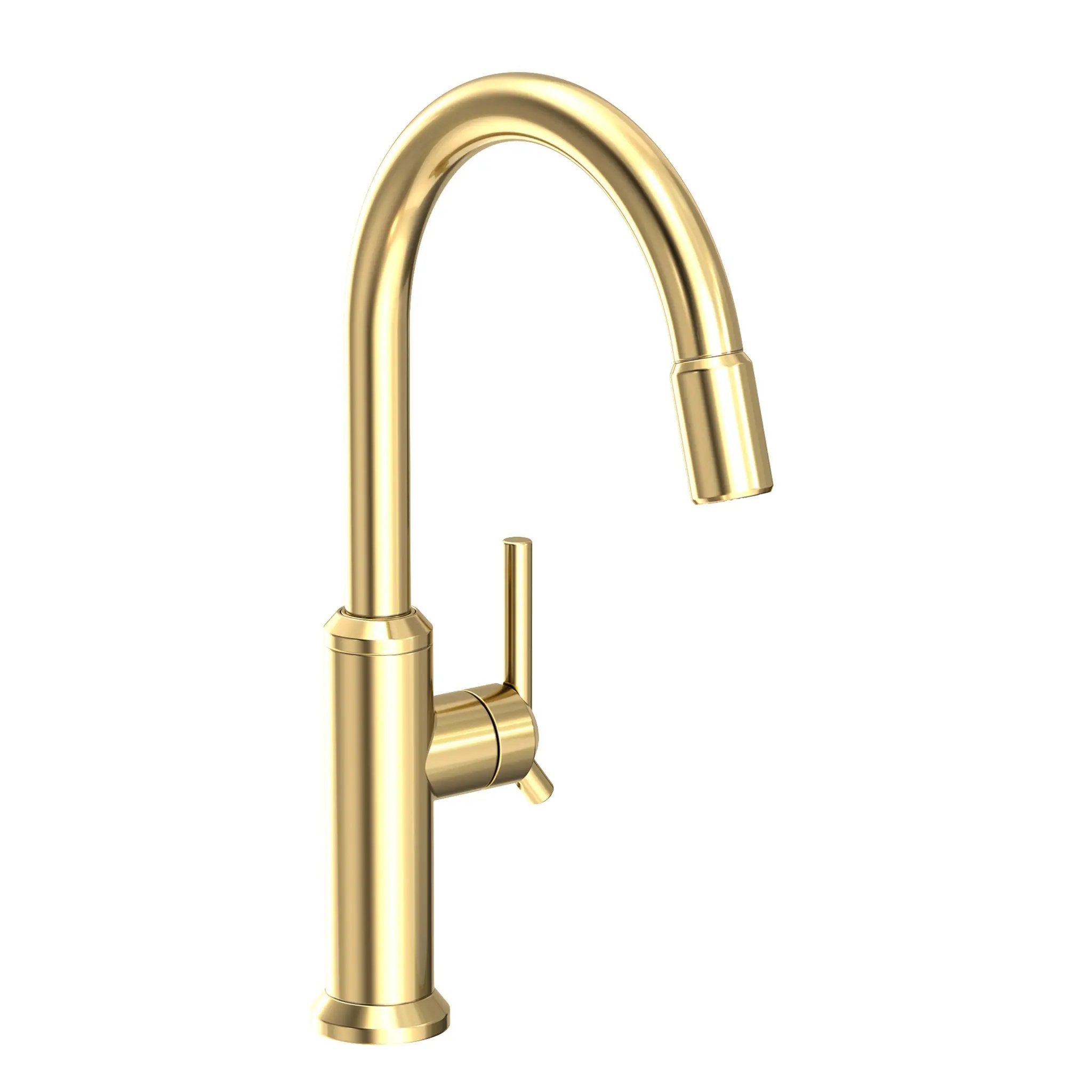 Newport Brass Jeter Pull-down Kitchen Faucet by Newport Brass