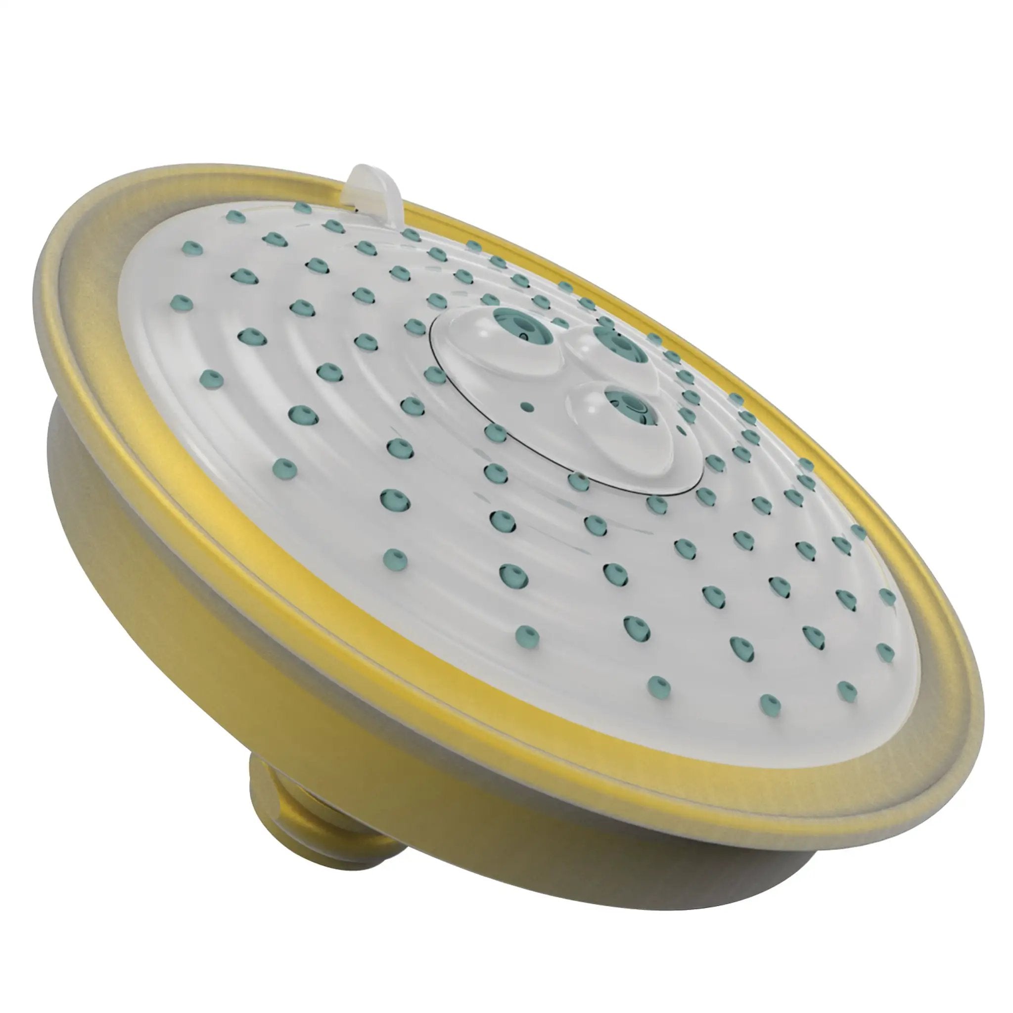 Newport Brass Tub & Shower Multifunction Showerhead by Newport Brass