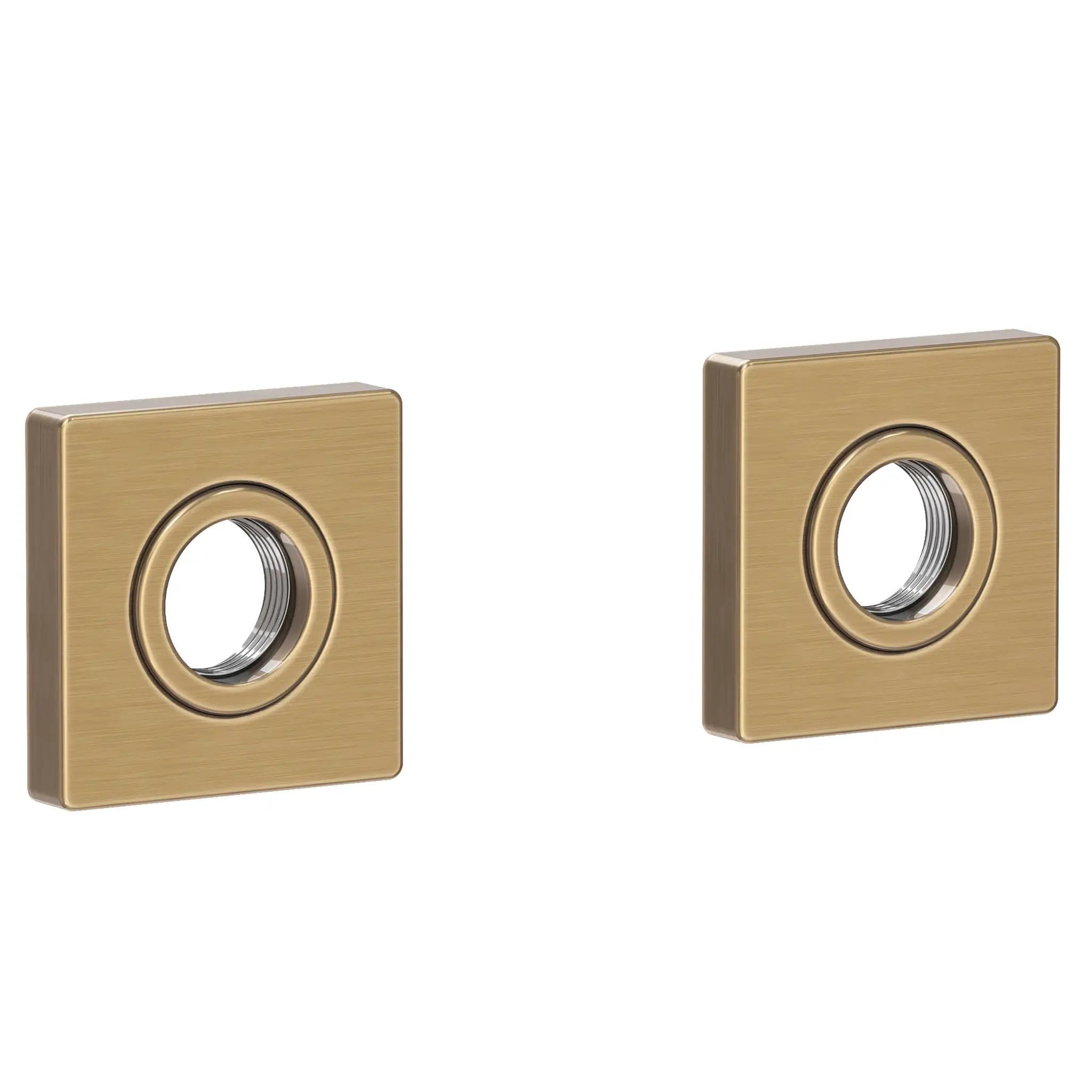 Newport Brass Secant Grab Bar Decorative Rings & Mounting Kit by Newport Brass